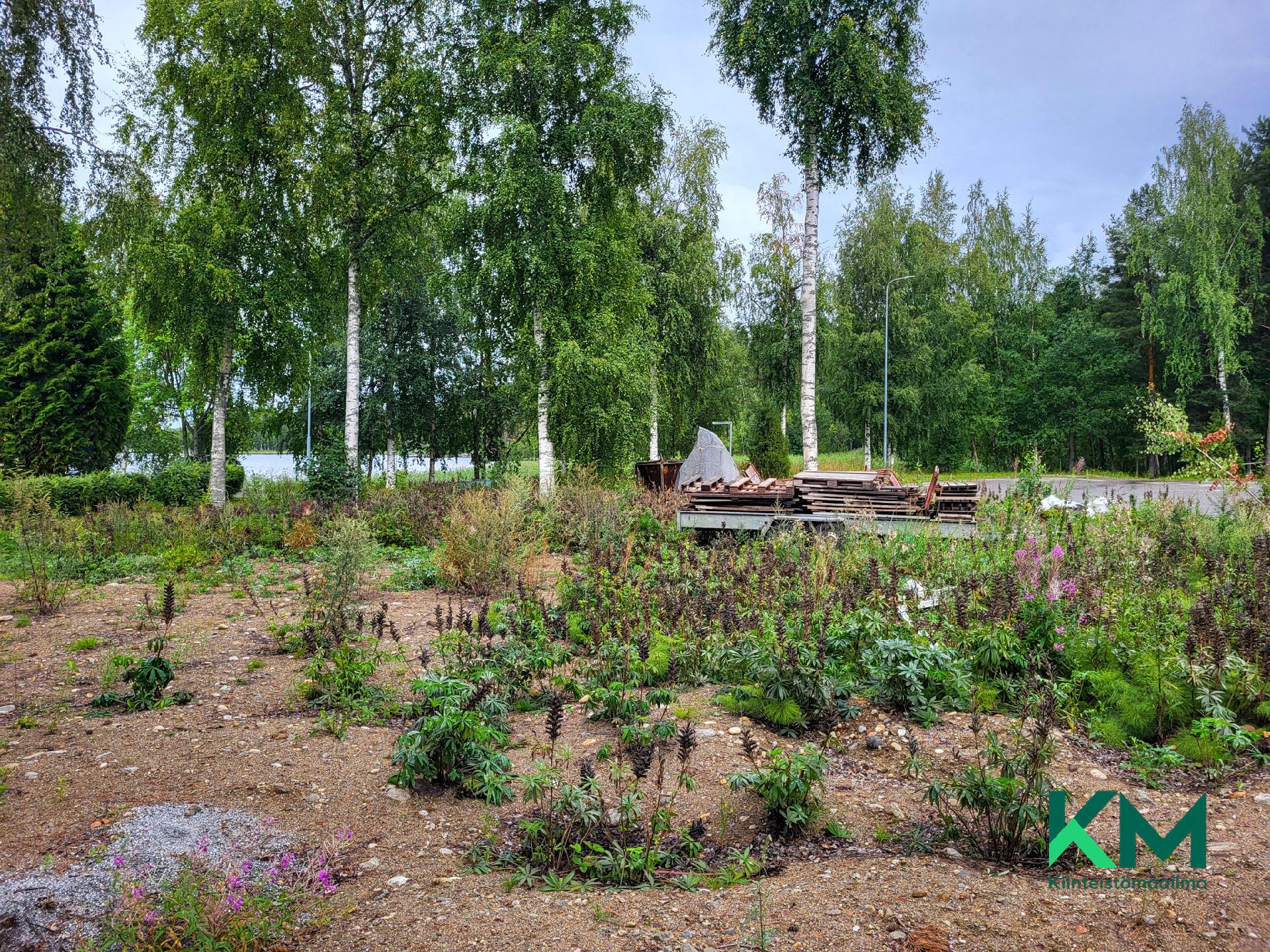 Hauenmiekka 2, Kuokkaniemi, Savonlinna