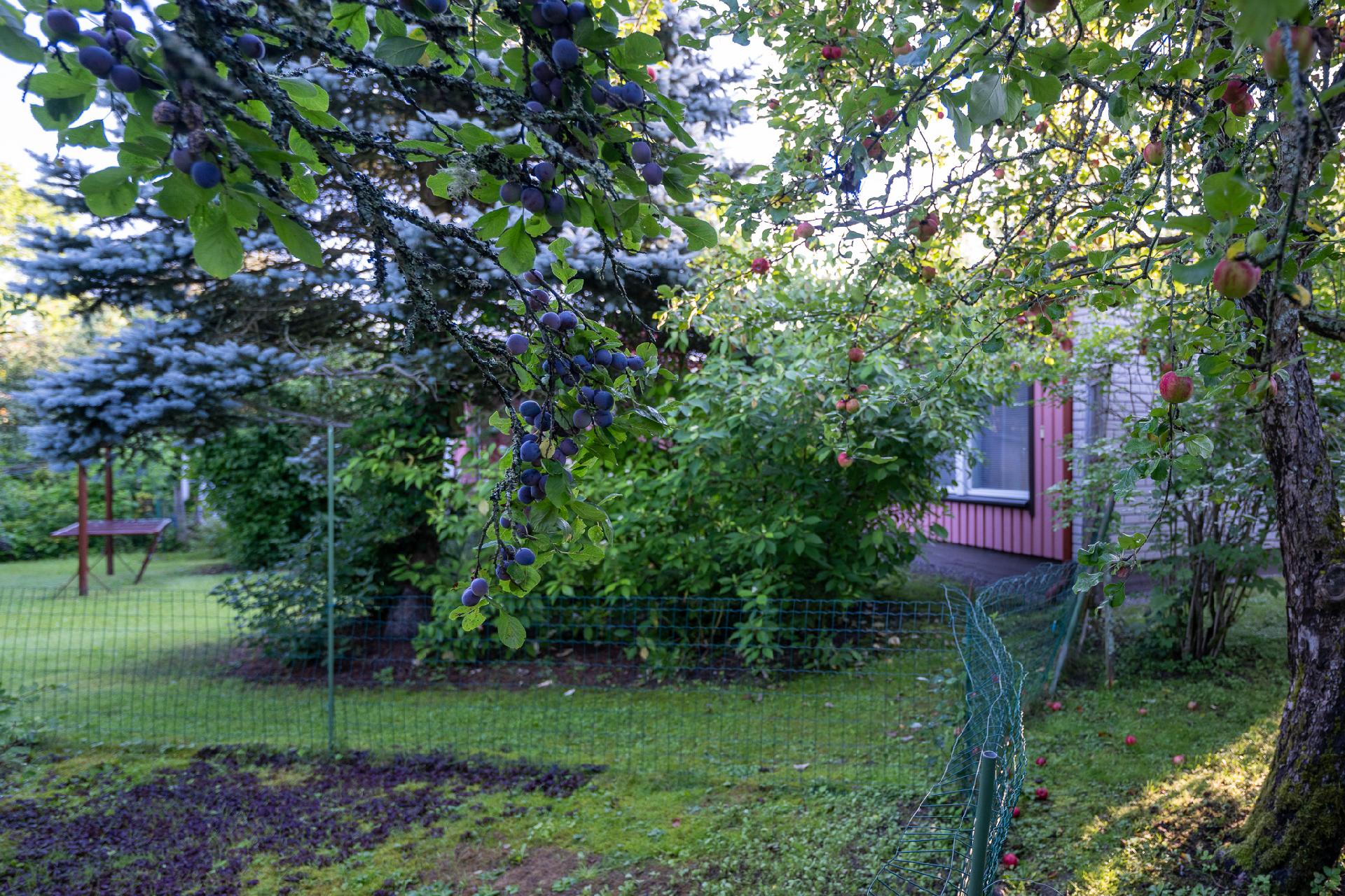 Poninpiha 3, Pahkavuori, Salo