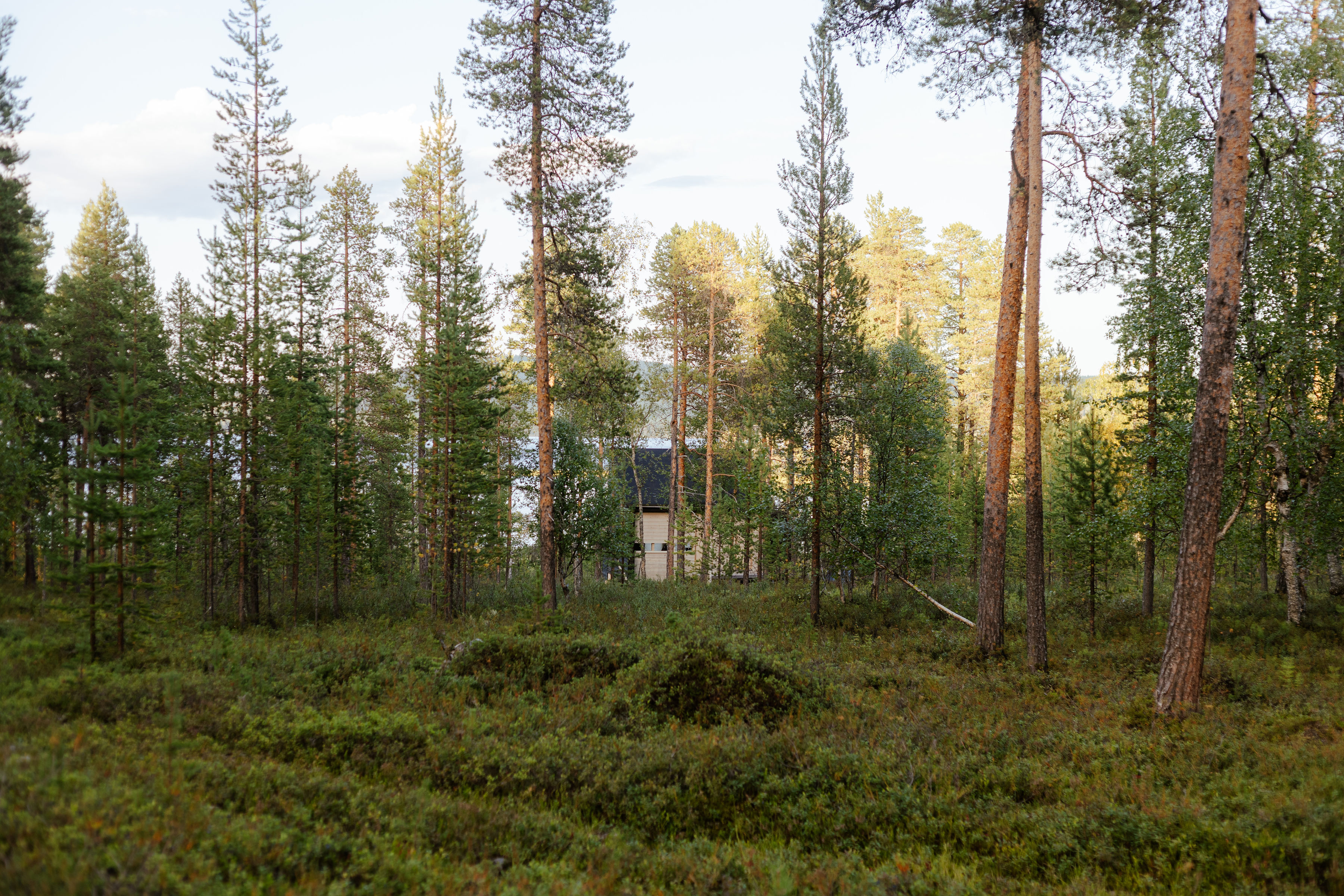 Saunarakennuksen takaaa löytyy lähde