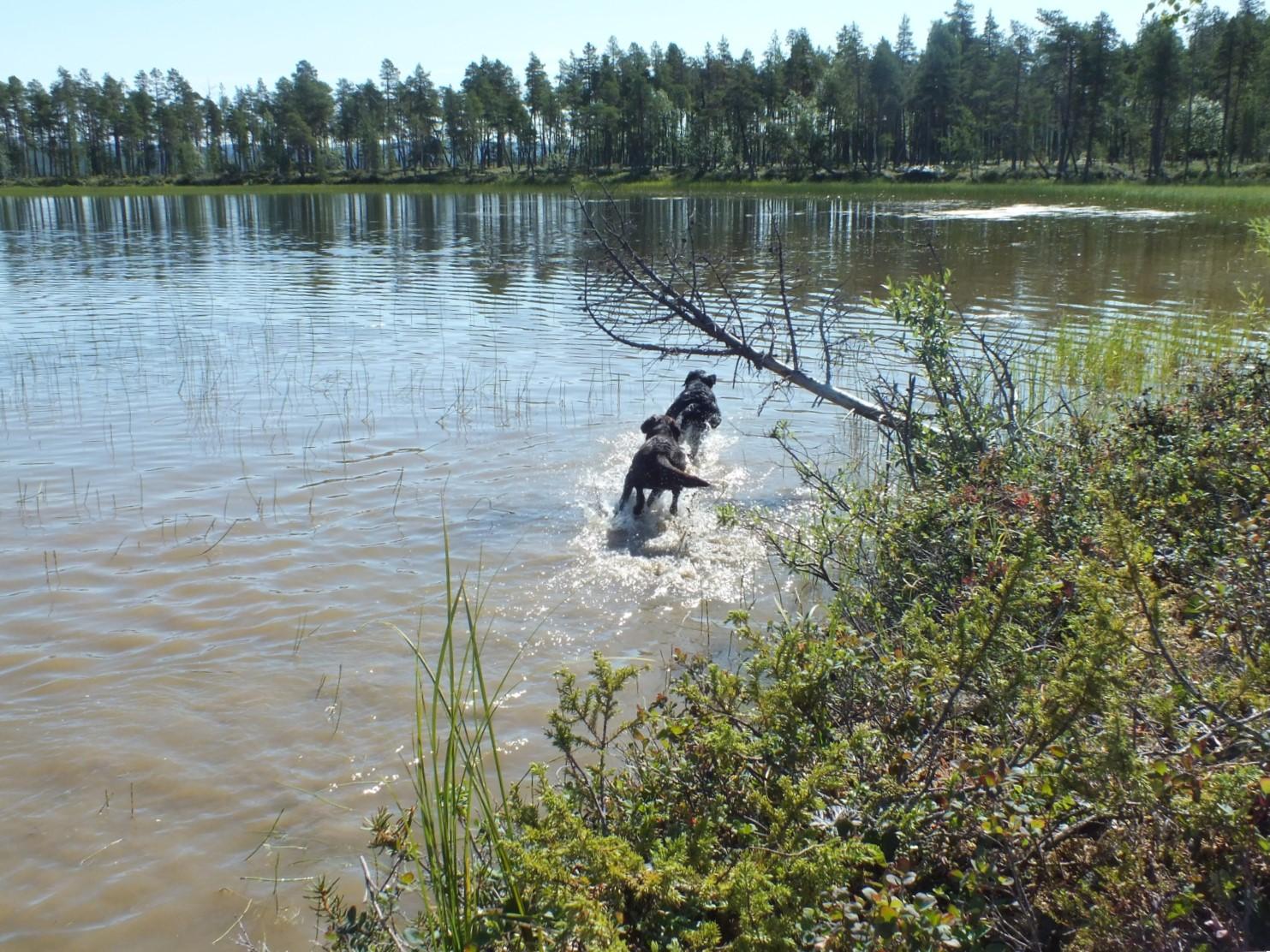 Tolosentie 399, Ivalo, Inari