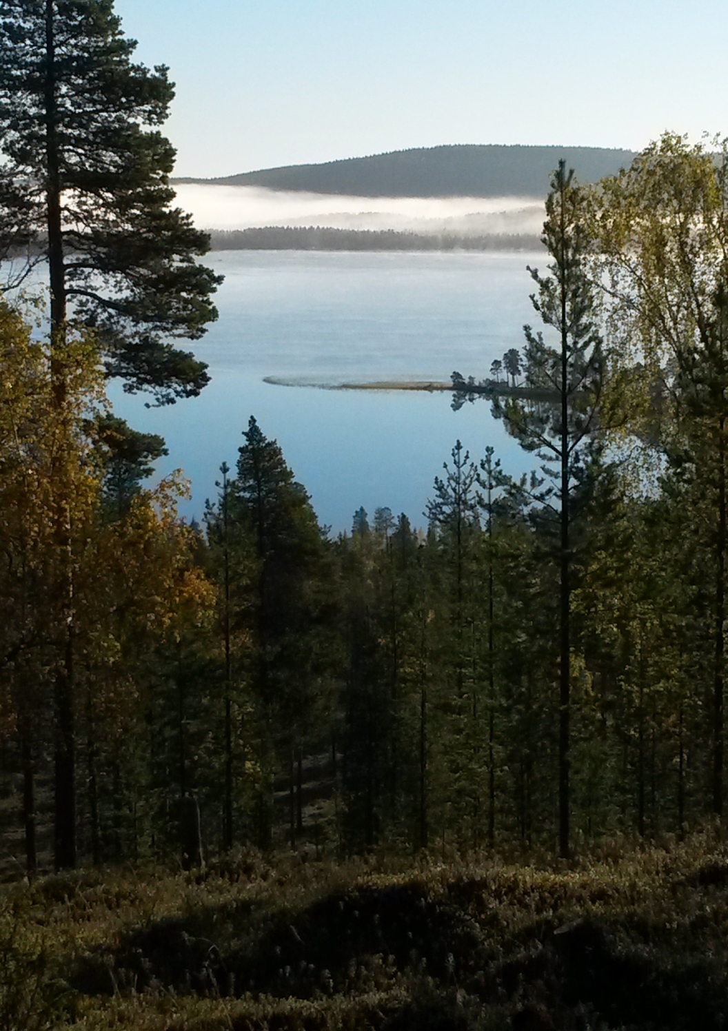 Näkymät tilan reunalta Sakiavaaran rinteeltä kohti Alajärveä