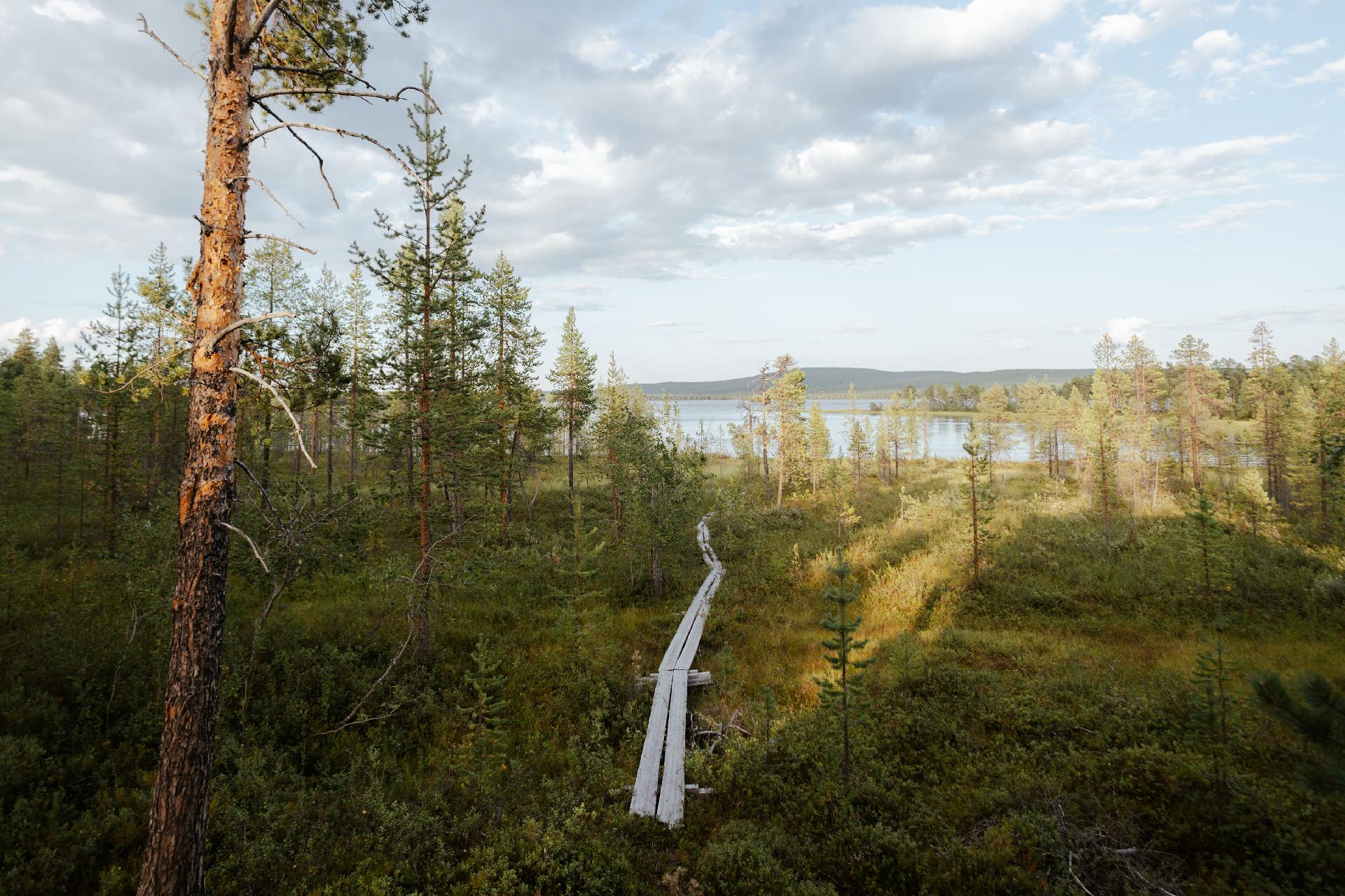 Tolosentie 399, Ivalo, Inari