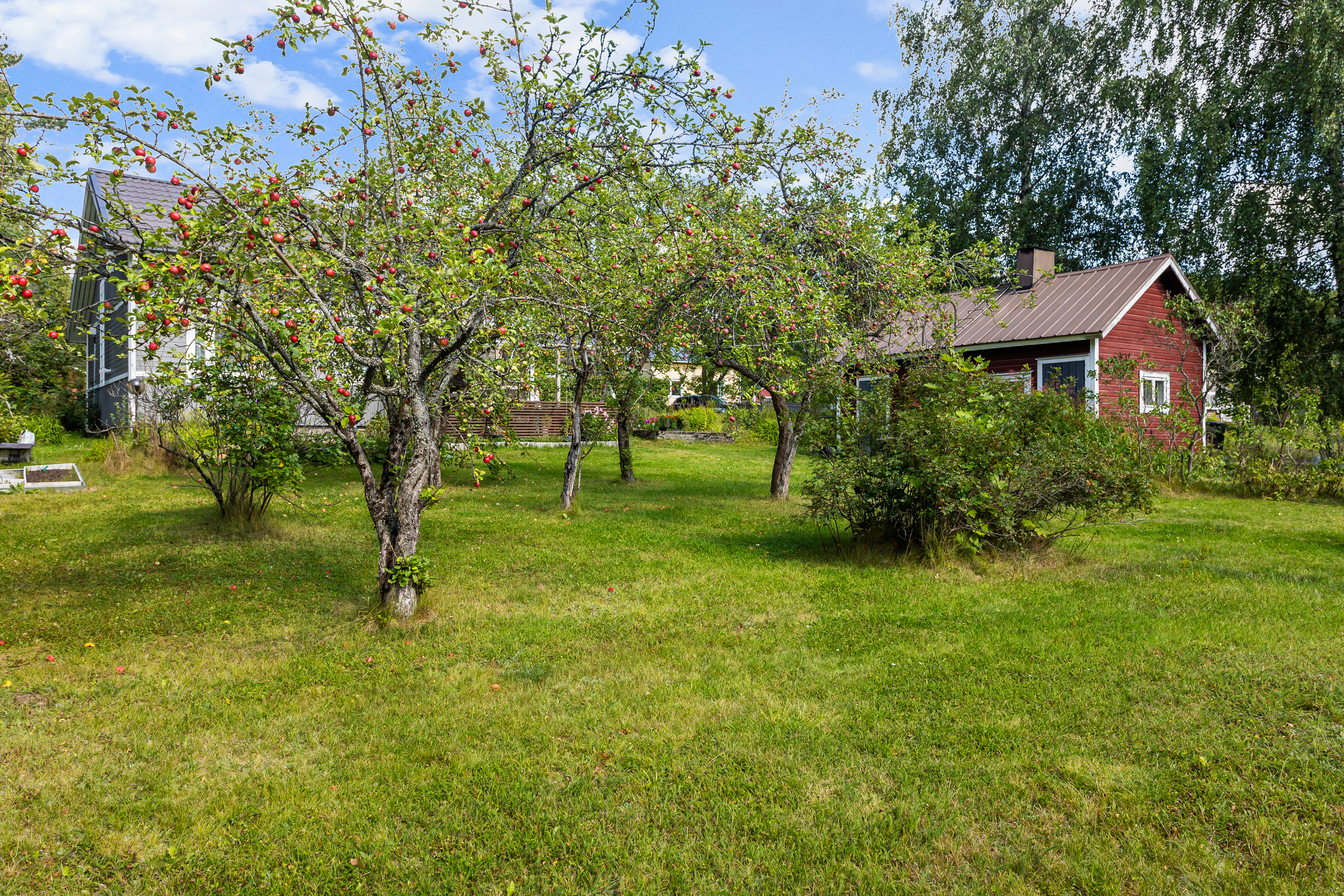 Karhutie 3, Kausala, Iitti