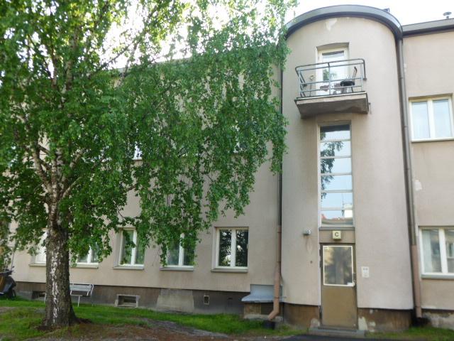Kesäinen piha