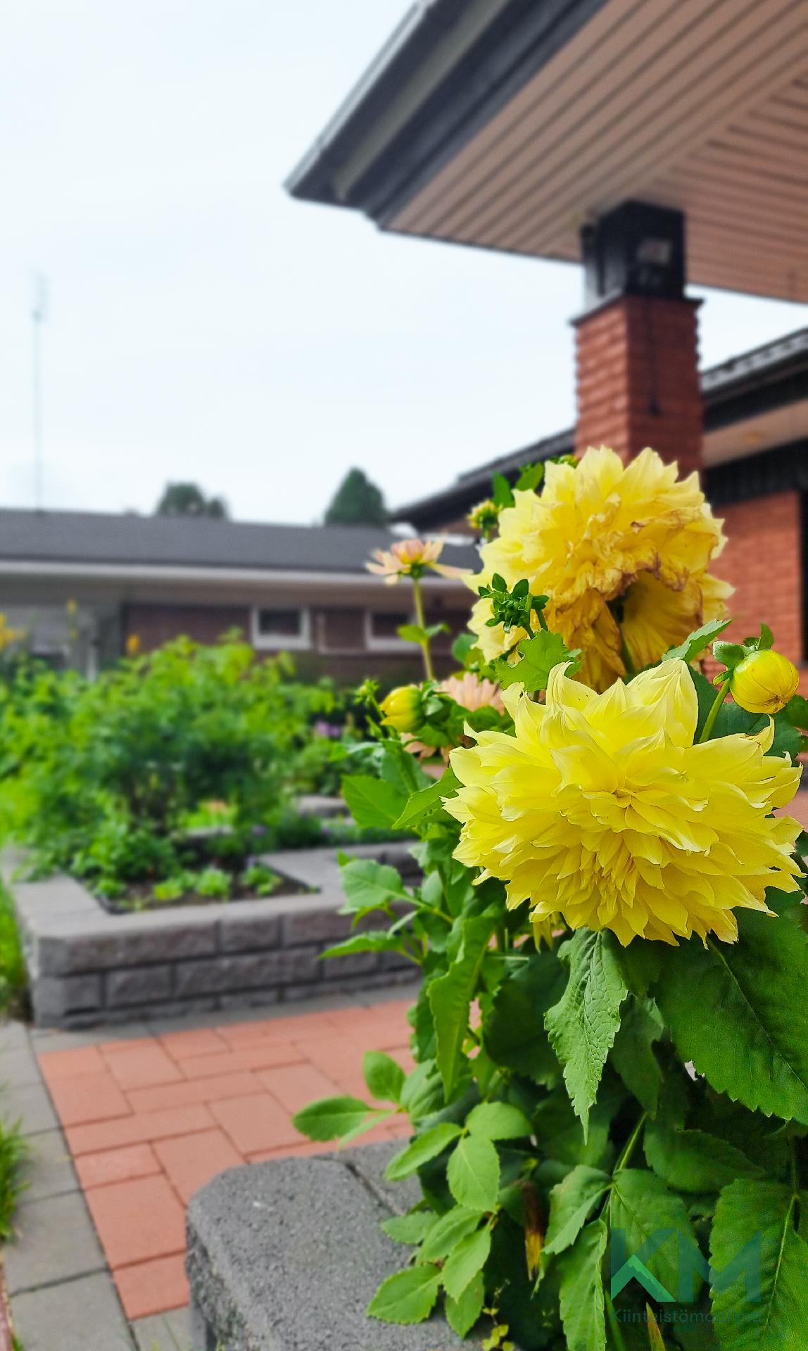 Tunnelmaa pihassa kesällä
