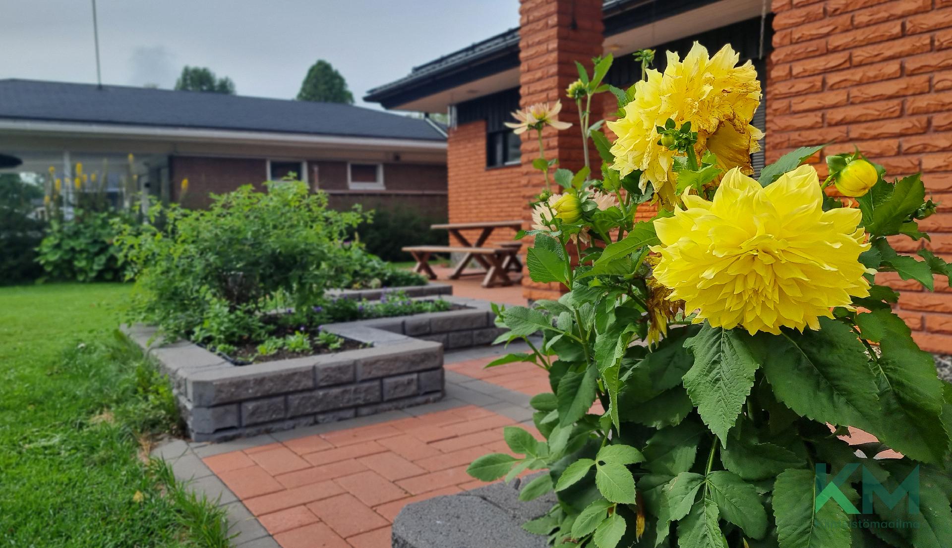 Viihtyisä piha kesällä