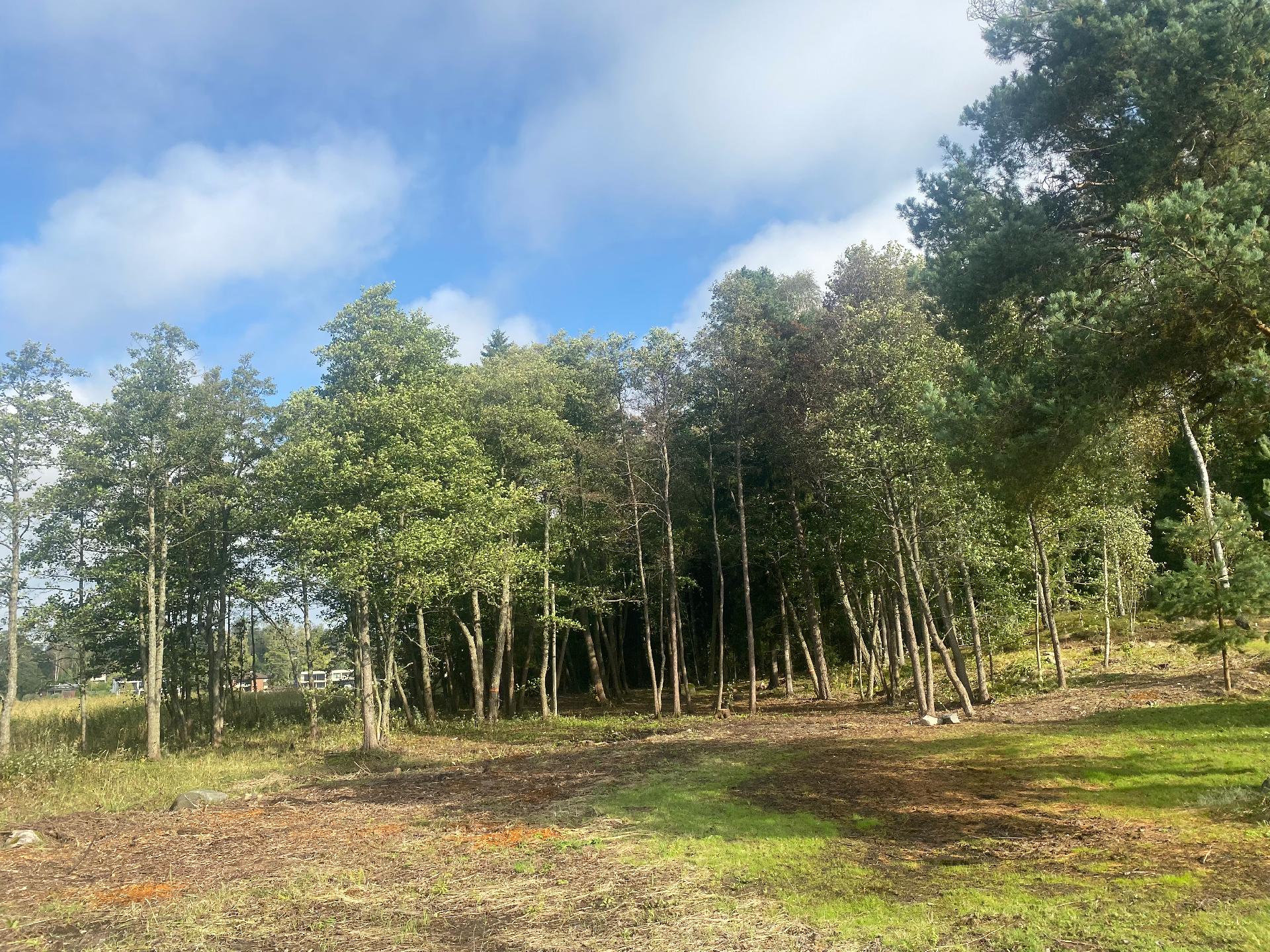 Iso Koivusaari 3, Marjaniemi, Helsinki