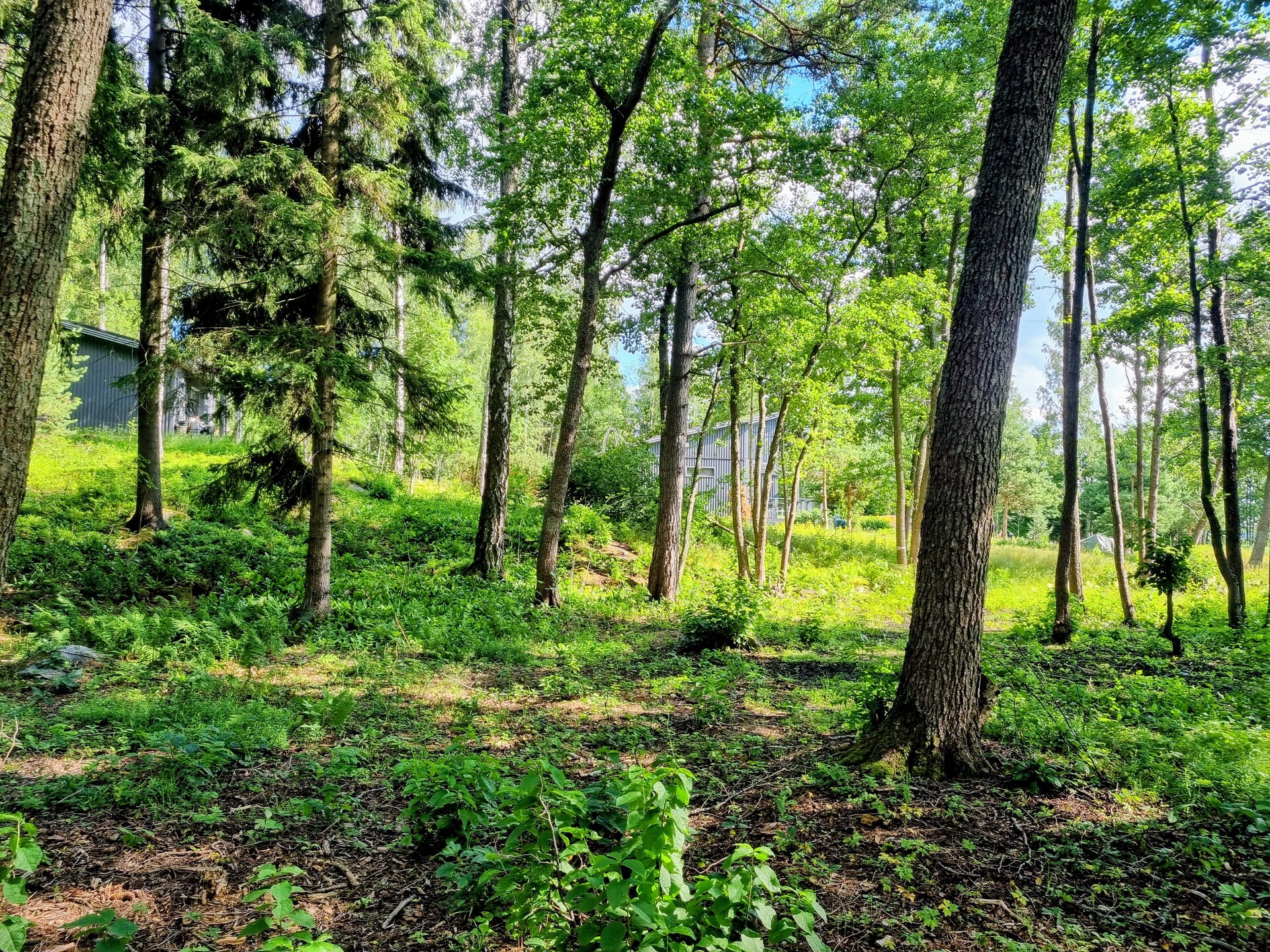 Iso Koivusaari 3, Marjaniemi, Helsinki