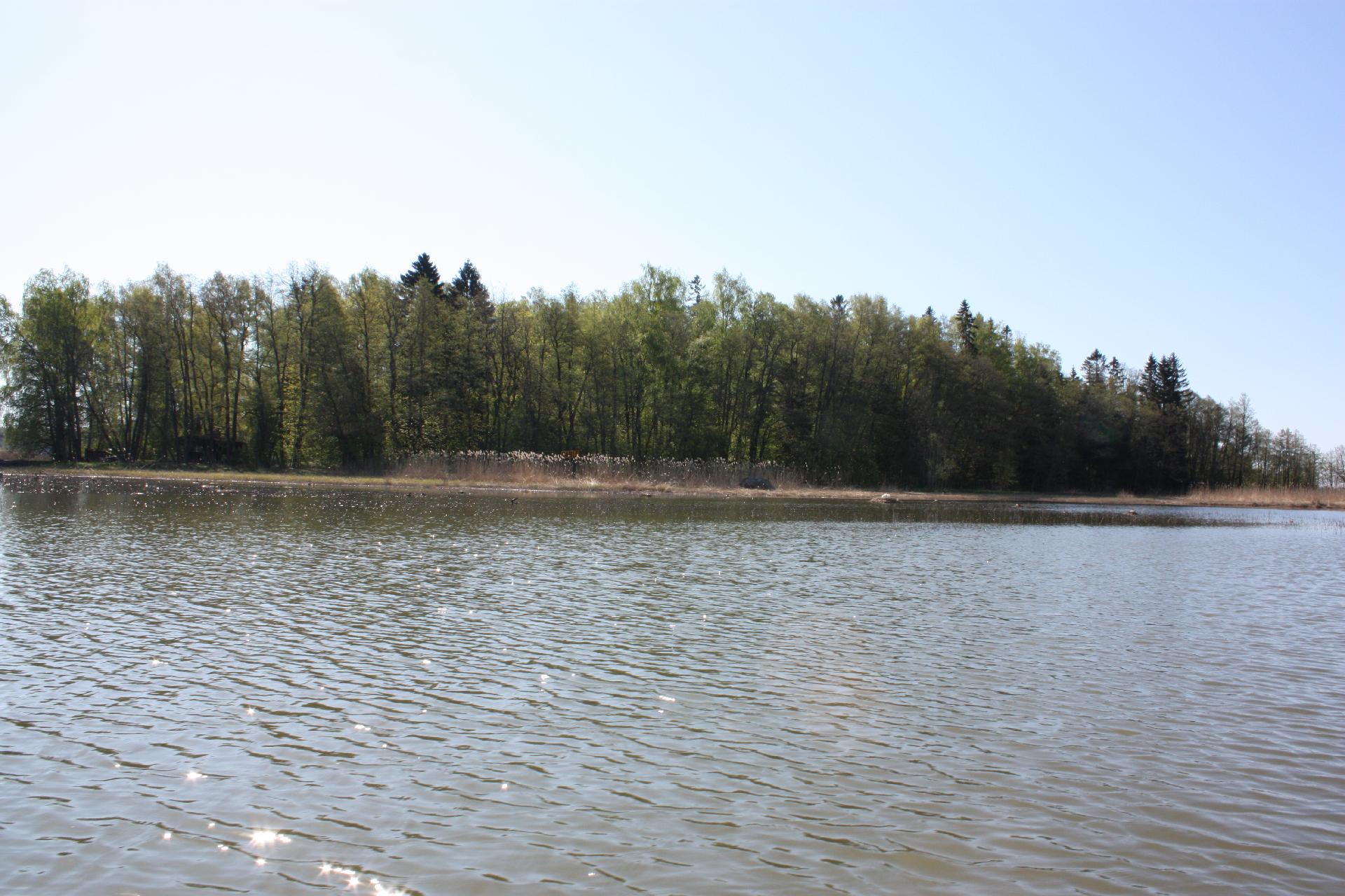 Iso Koivusaari 3, Marjaniemi, Helsinki