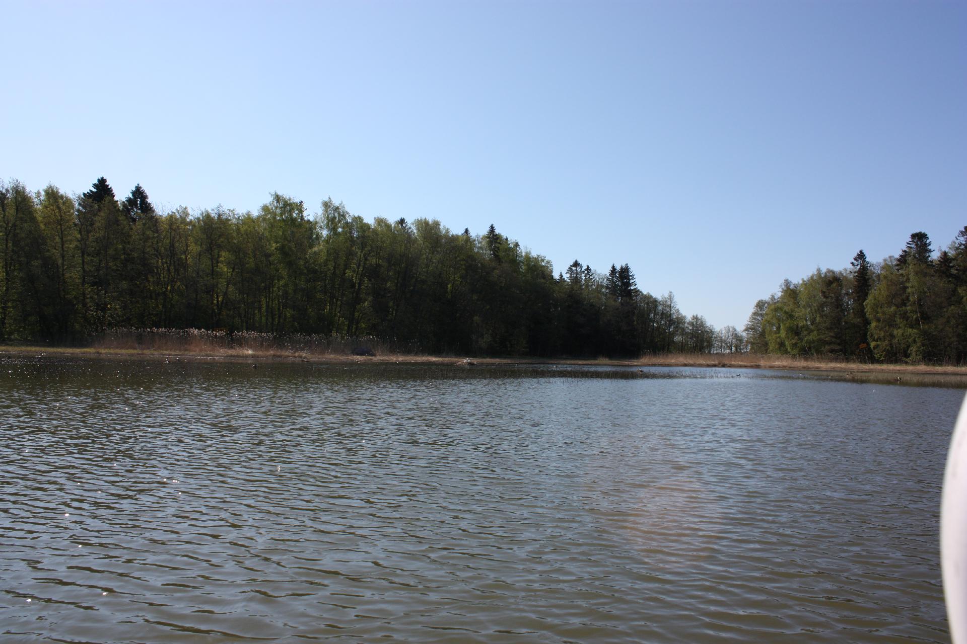 Iso Koivusaari 3, Marjaniemi, Helsinki