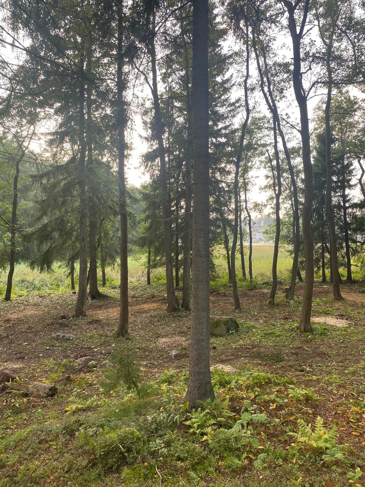 Iso Koivusaari 3, Marjaniemi, Helsinki