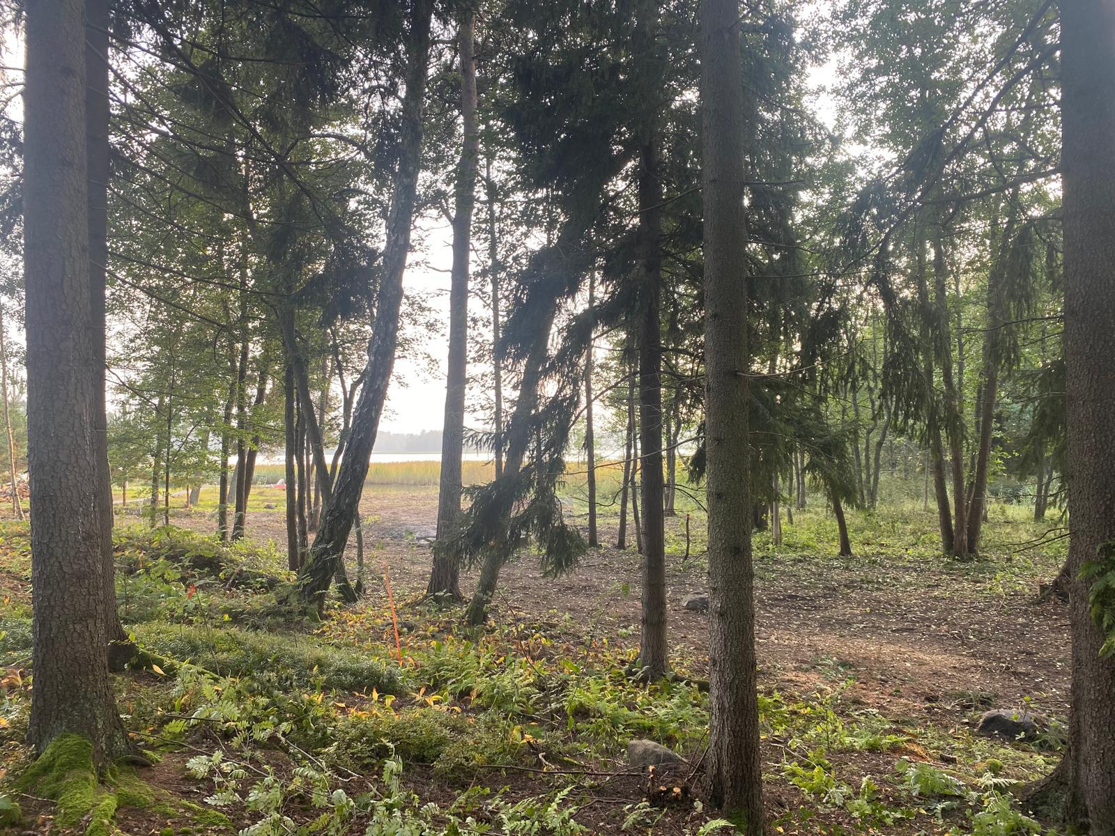 Iso Koivusaari 3, Marjaniemi, Helsinki