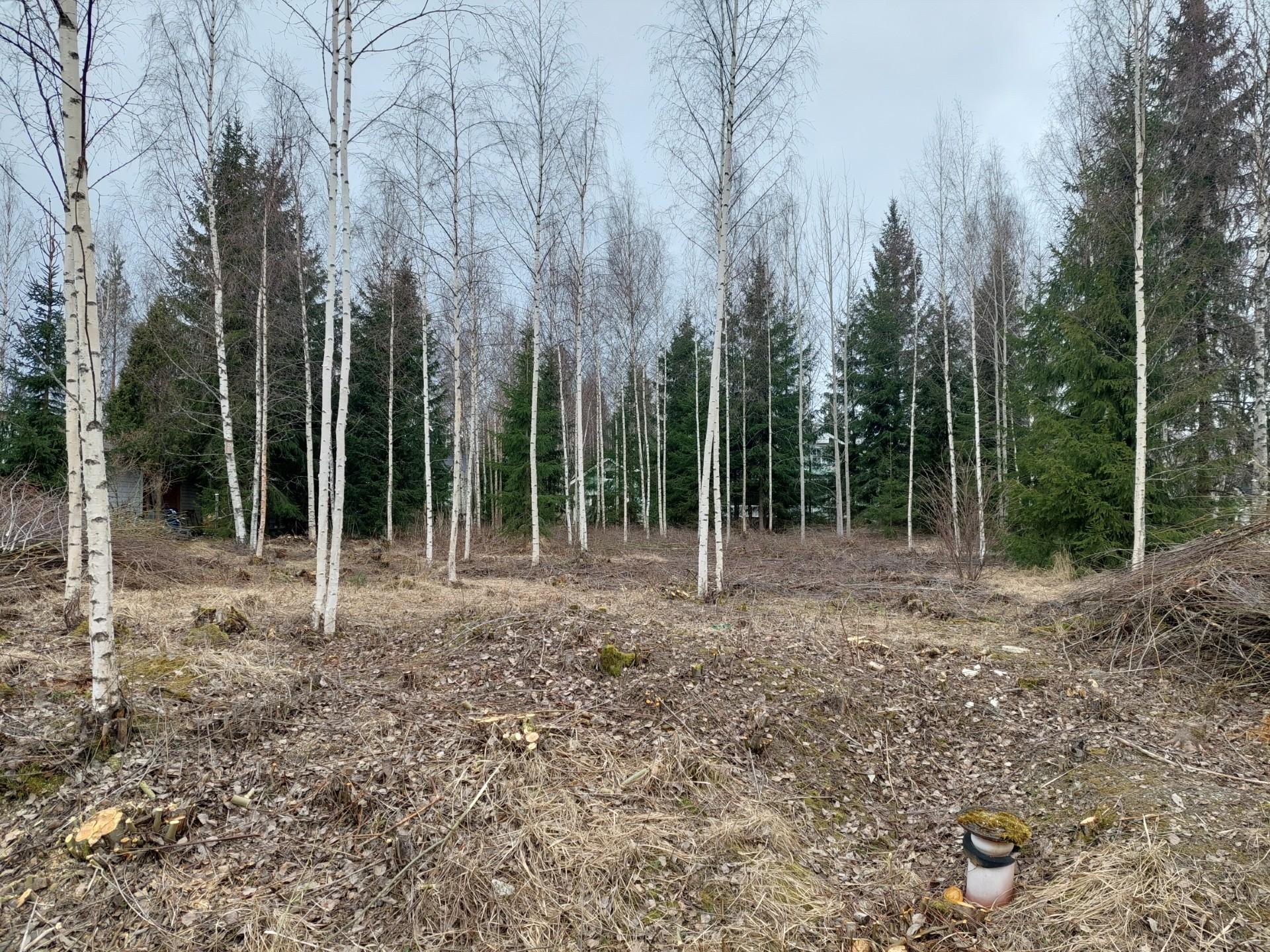 Väinönkuja 10, Pennala, Orimattila