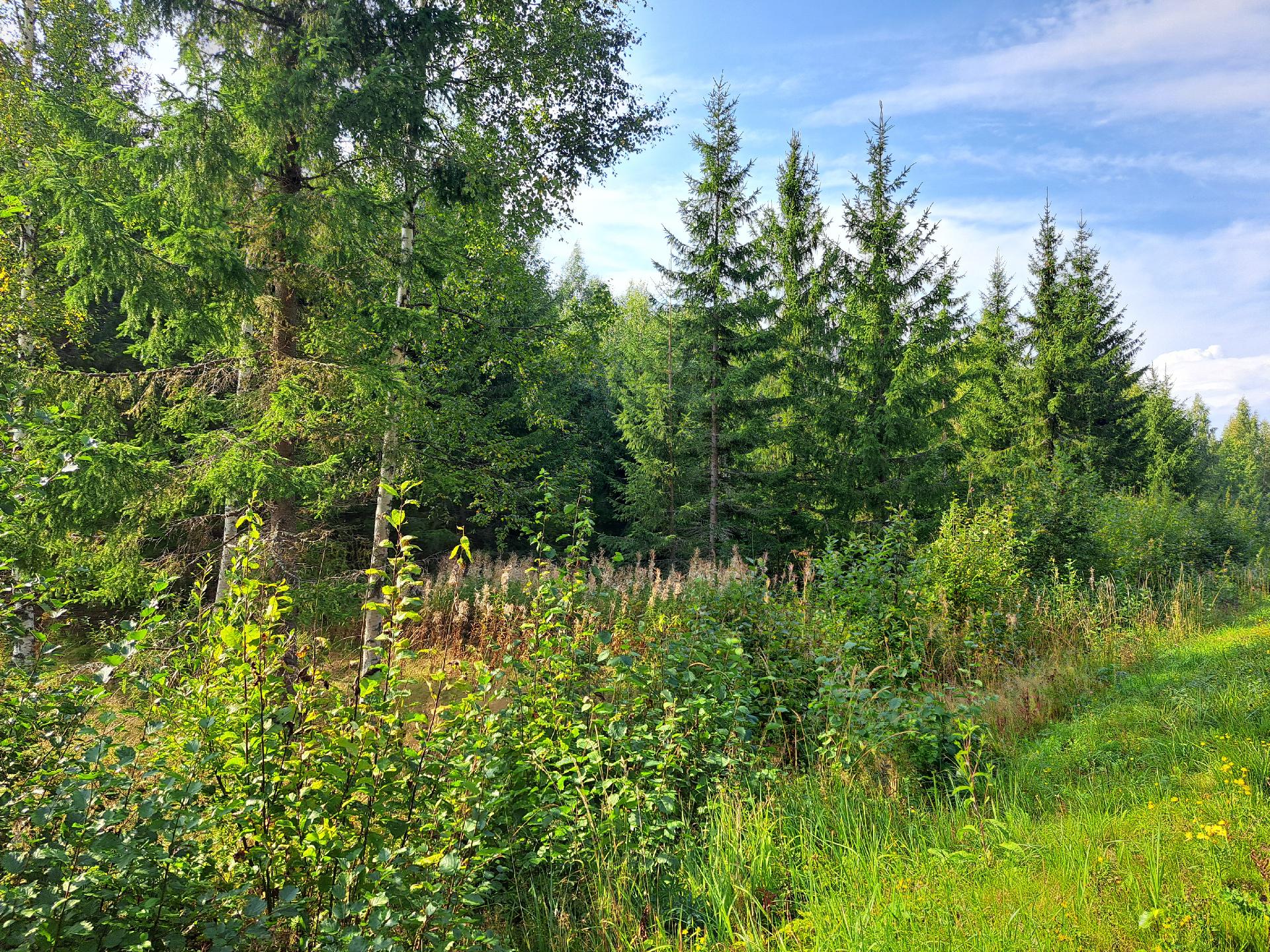 Ihastjärventie 106, Ihastjärvi, Mikkeli
