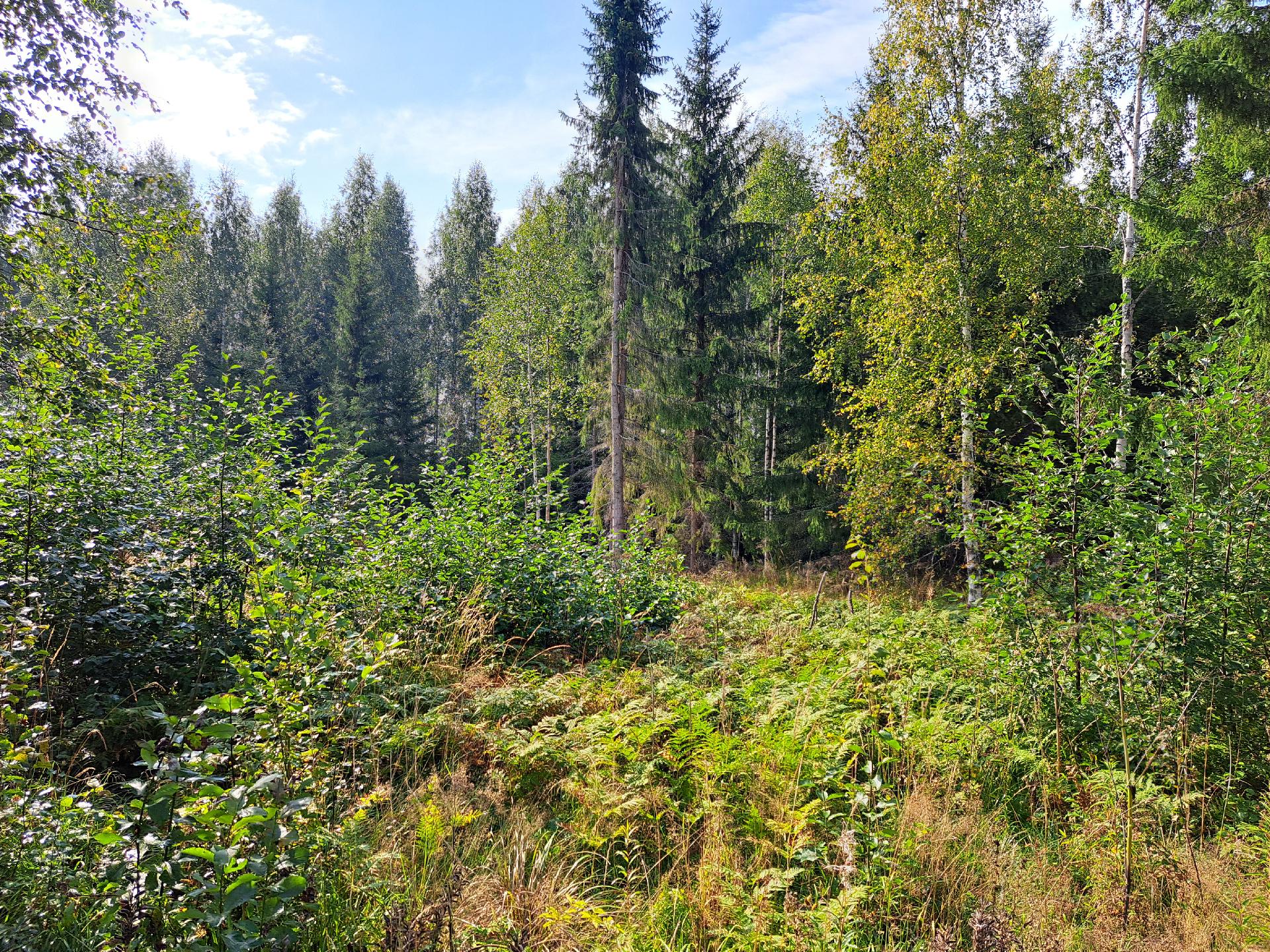 Ihastjärventie 106, Ihastjärvi, Mikkeli