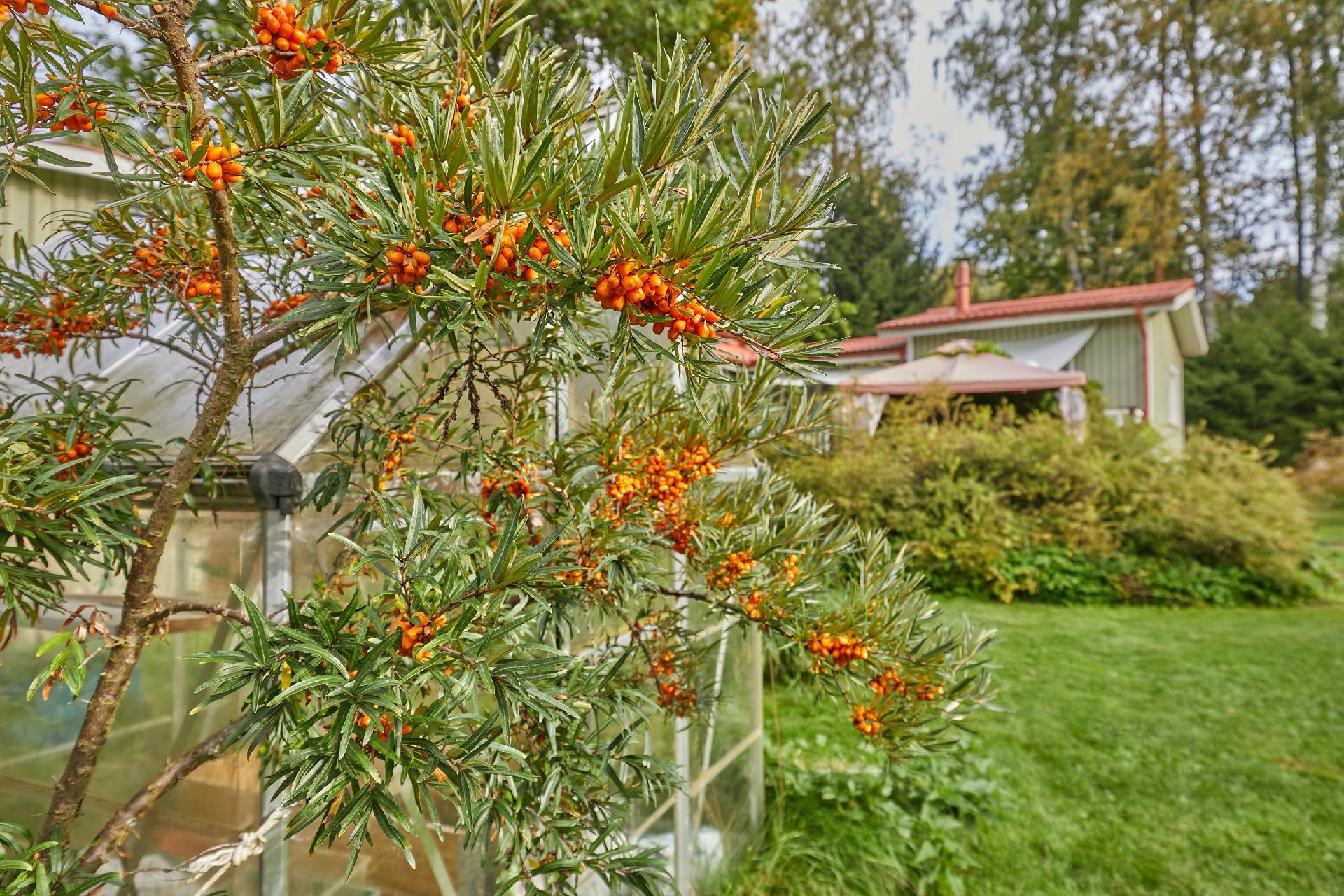 Kandolinintie 37, Nummi-Pusula, Lohja