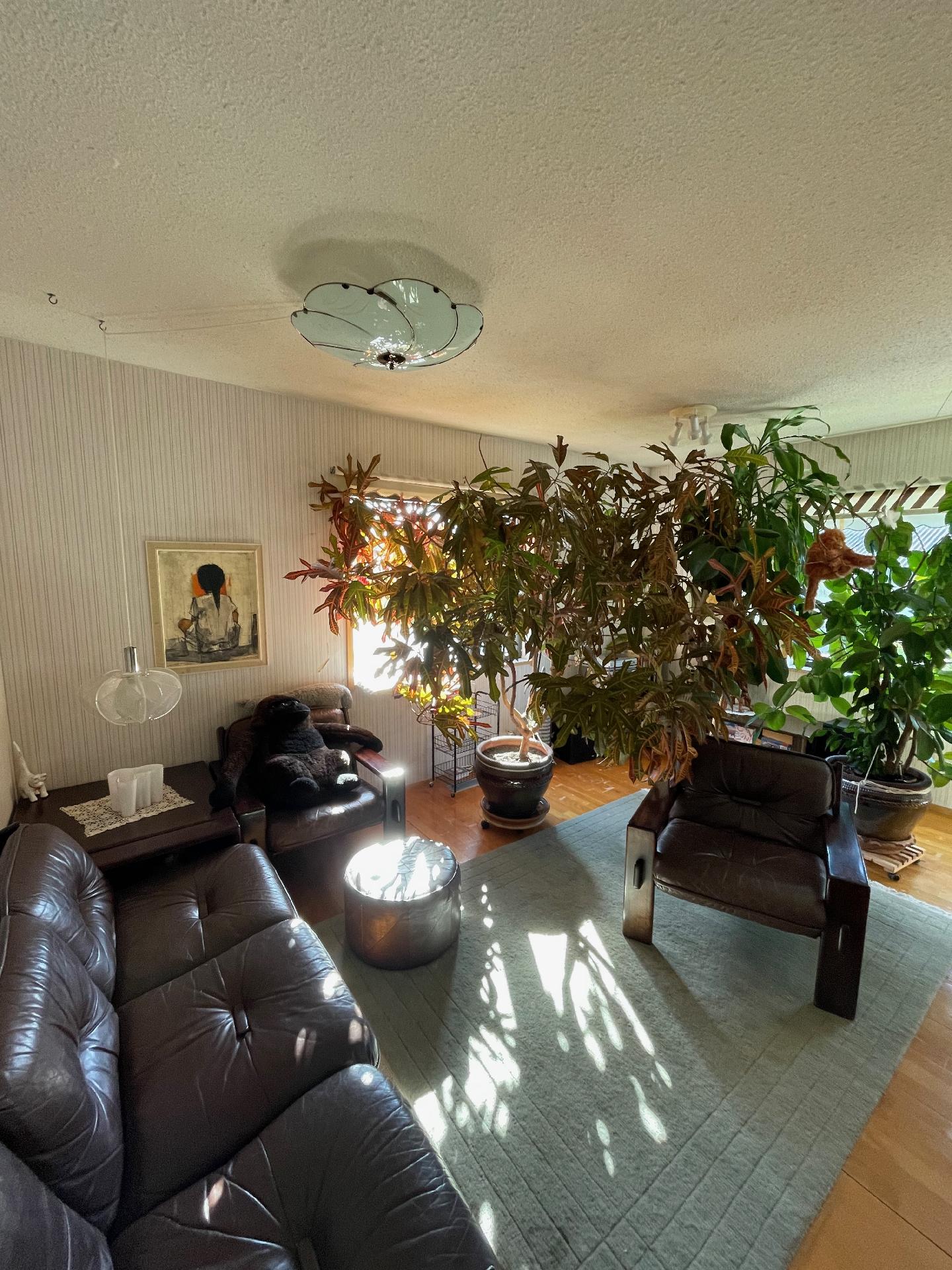 Saaritie 11, Keskusta, Sotkamo