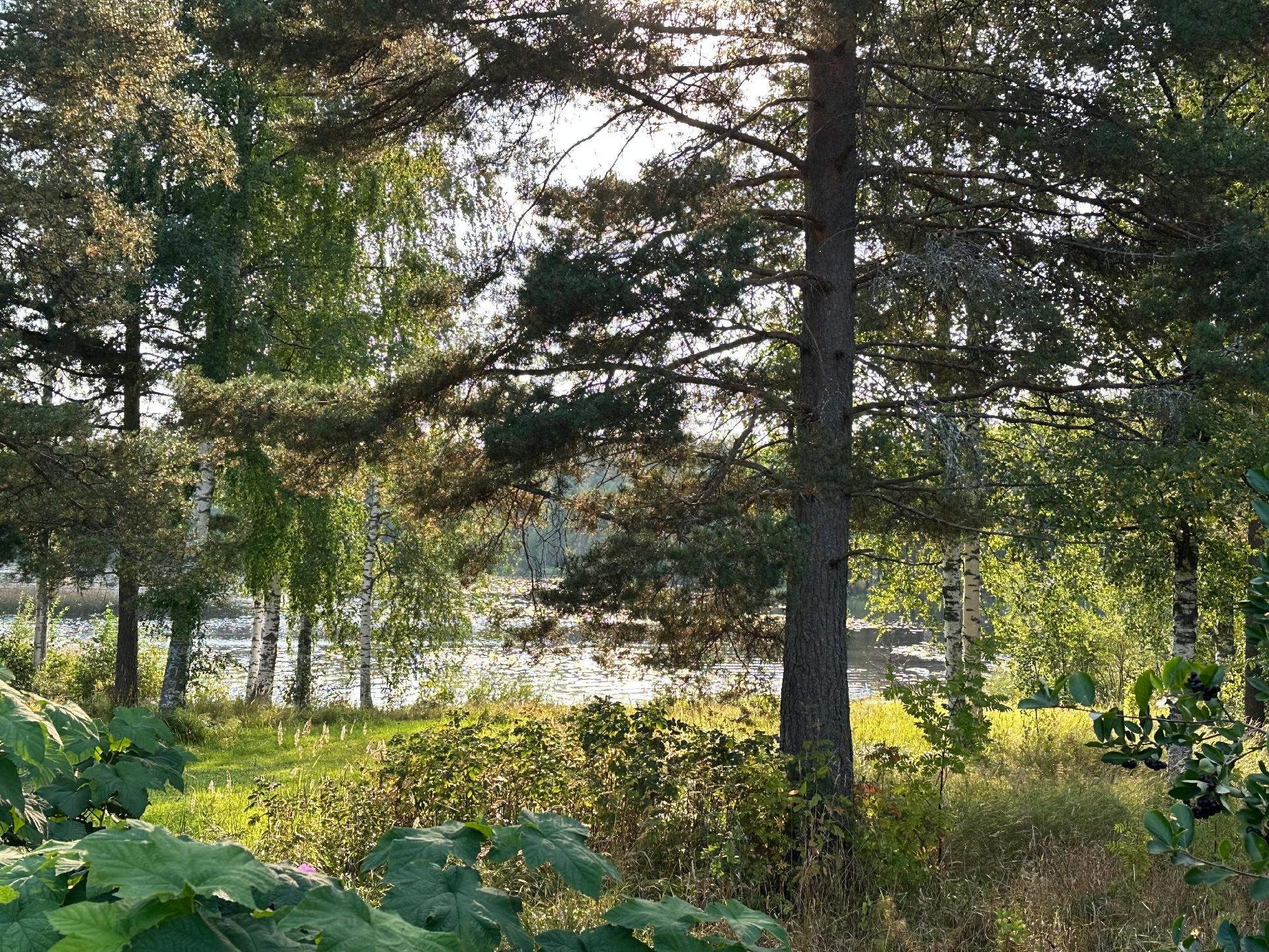 Pekkolankatu 13, Pussilanjoki, Varkaus