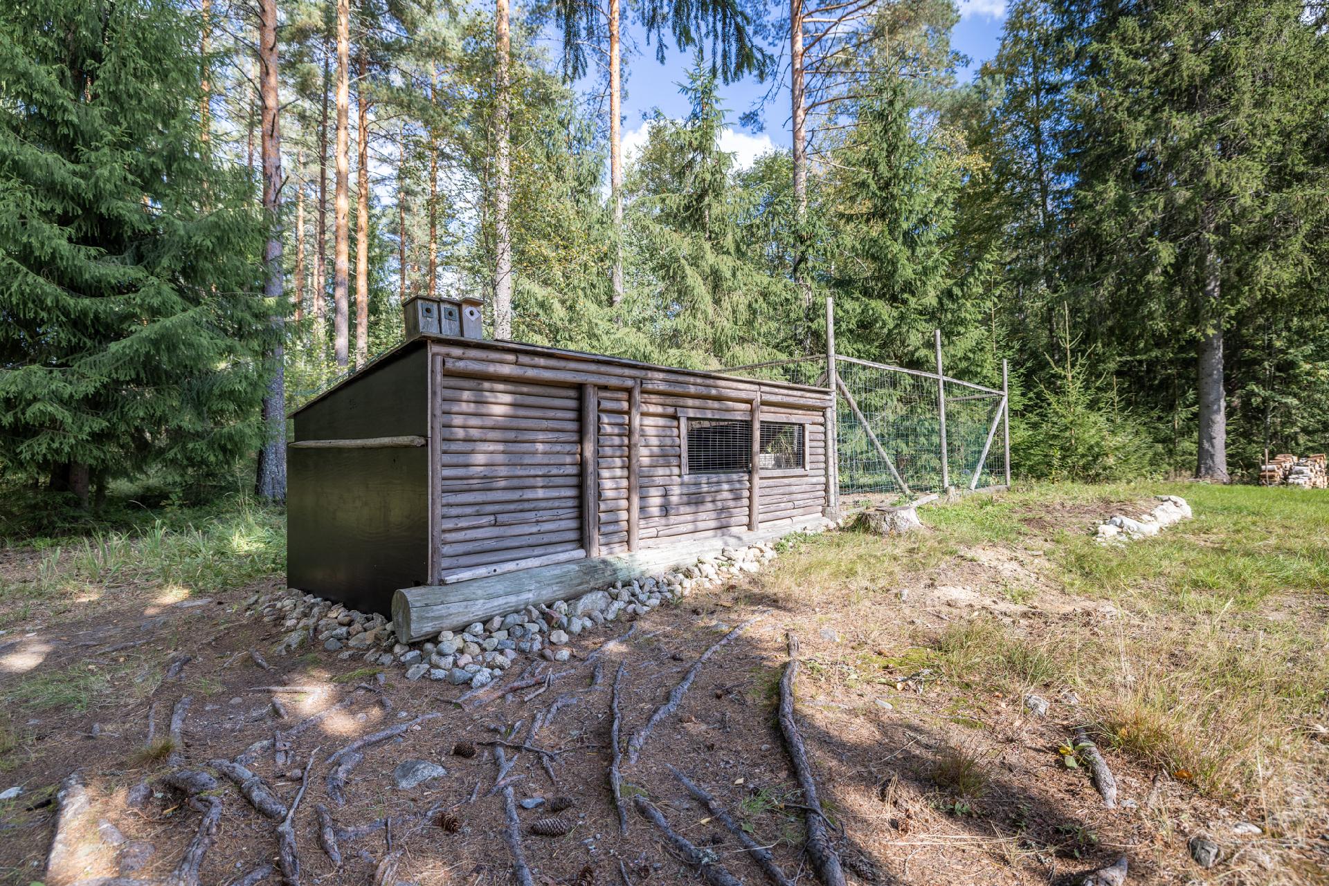 etupihalla koiratarha