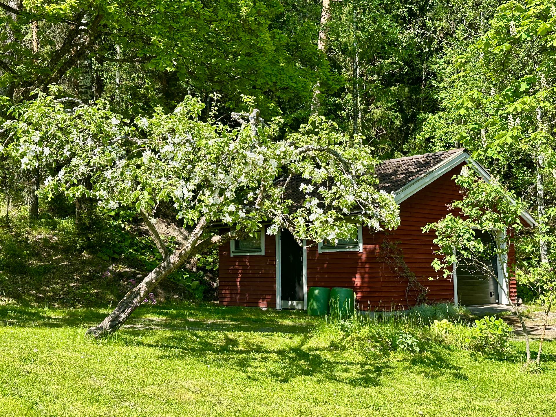 Vähikkäläntie 12, Tervakoski, Janakkala