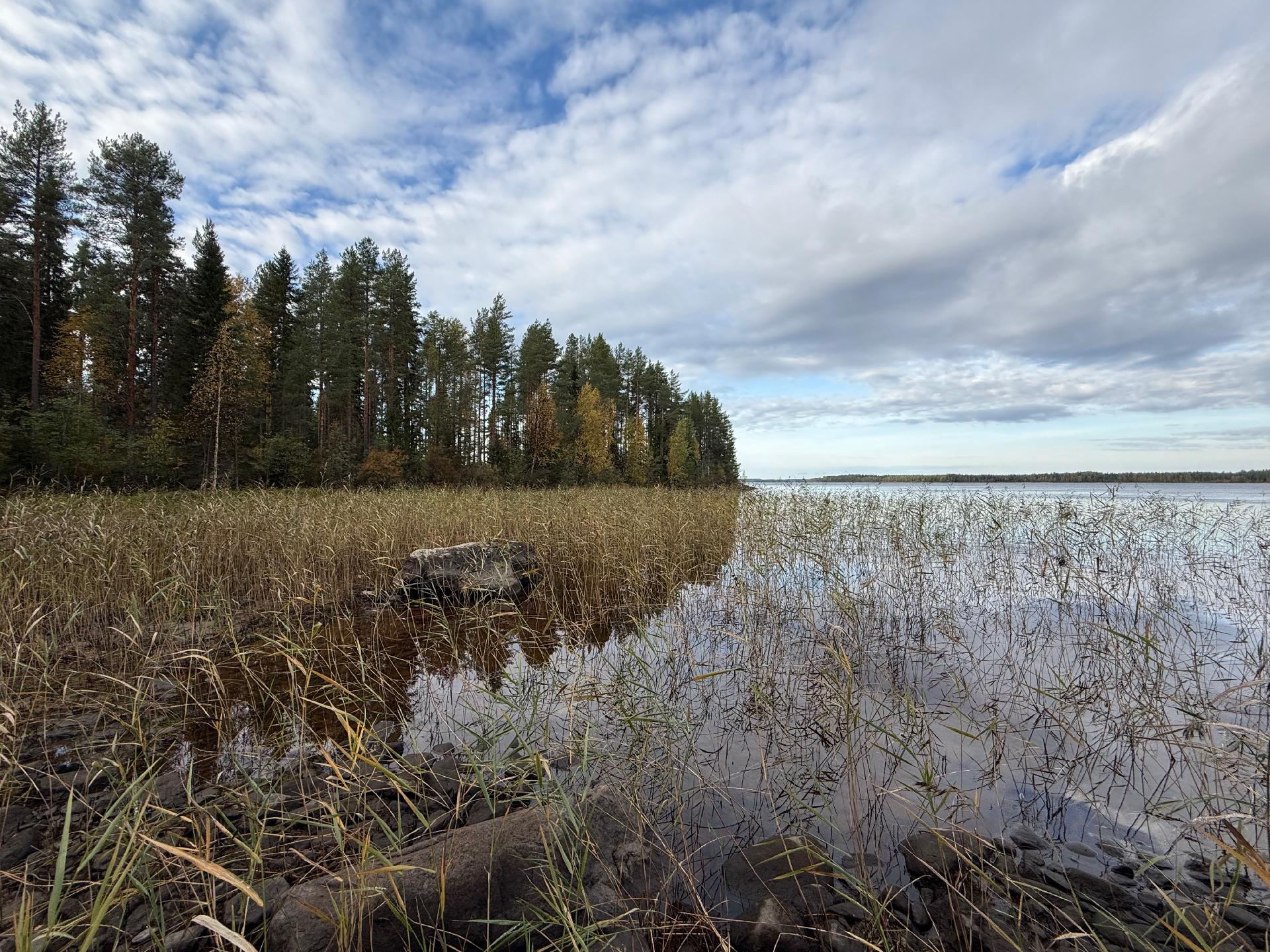 Metsäkalliontie 17, Tipasoja, Sotkamo