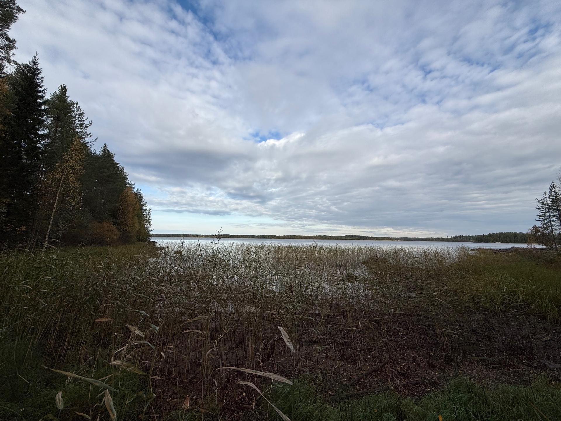 Metsäkalliontie 17, Tipasoja, Sotkamo