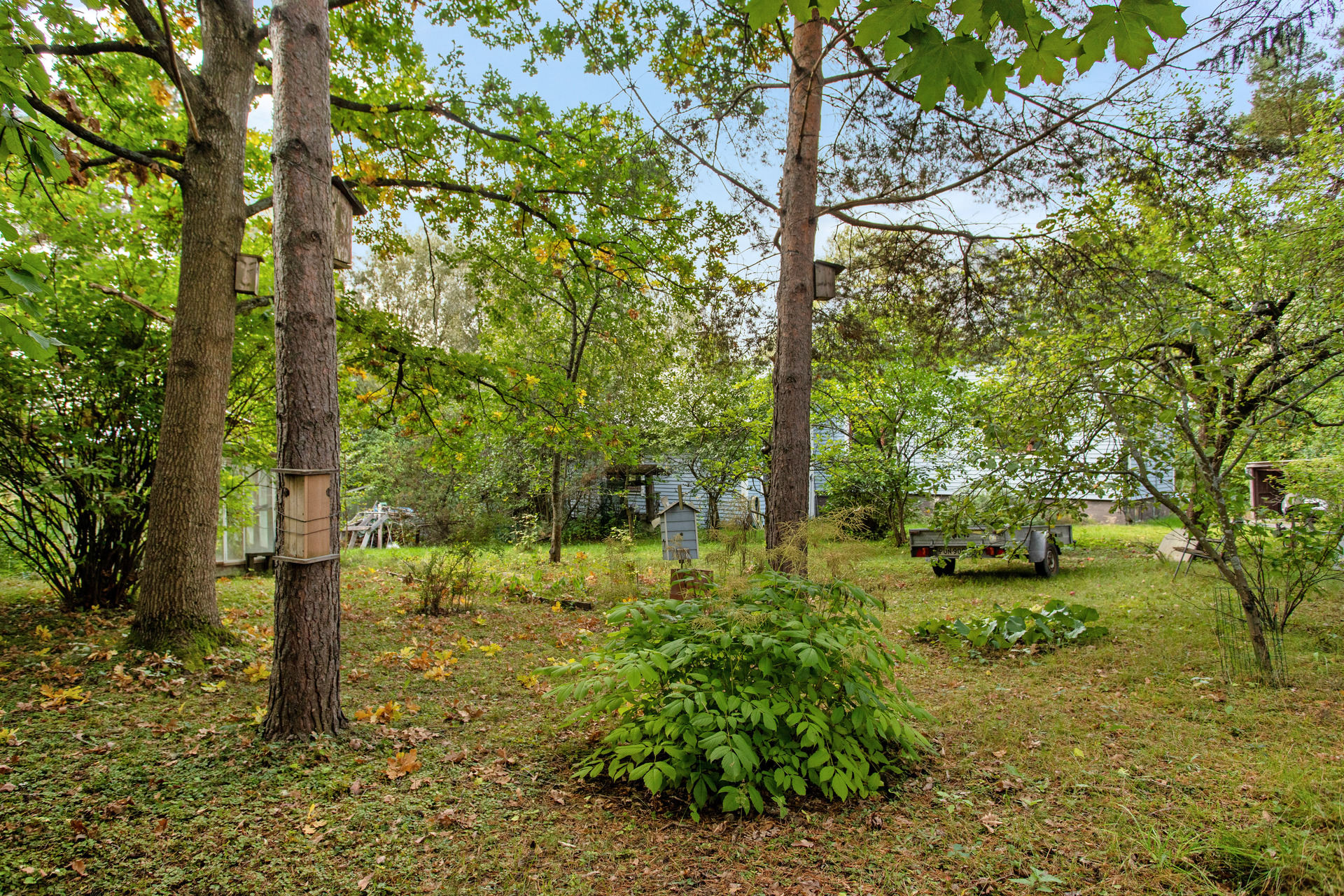 Kuriiritie 27, Koivuhaka, Vantaa