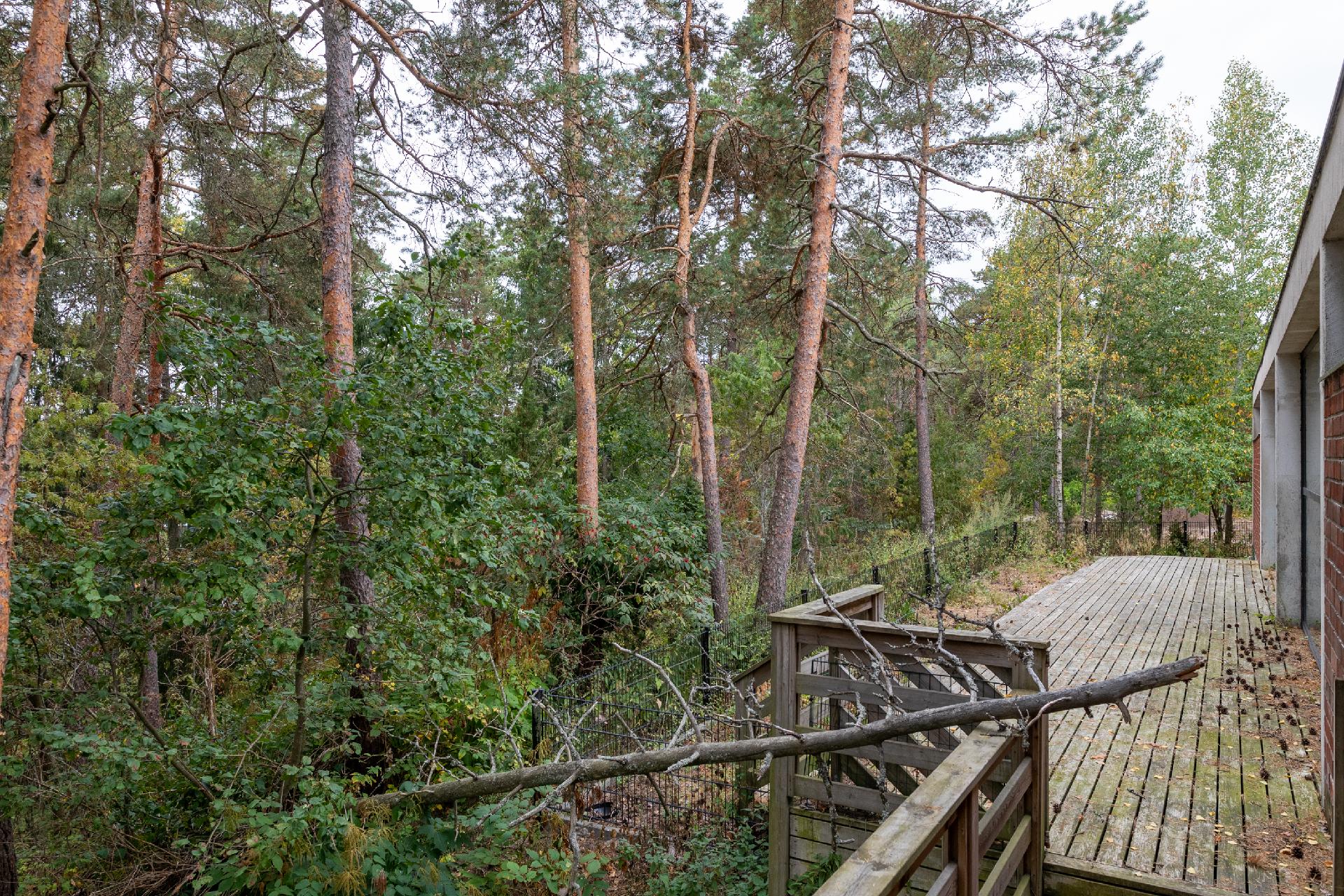 Magnus Hagelstamin tie 12, Kauniainen, Kauniainen