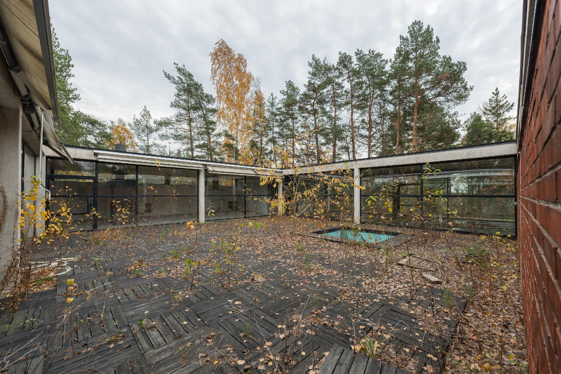 Luonto on ottanut valtaa pihassa