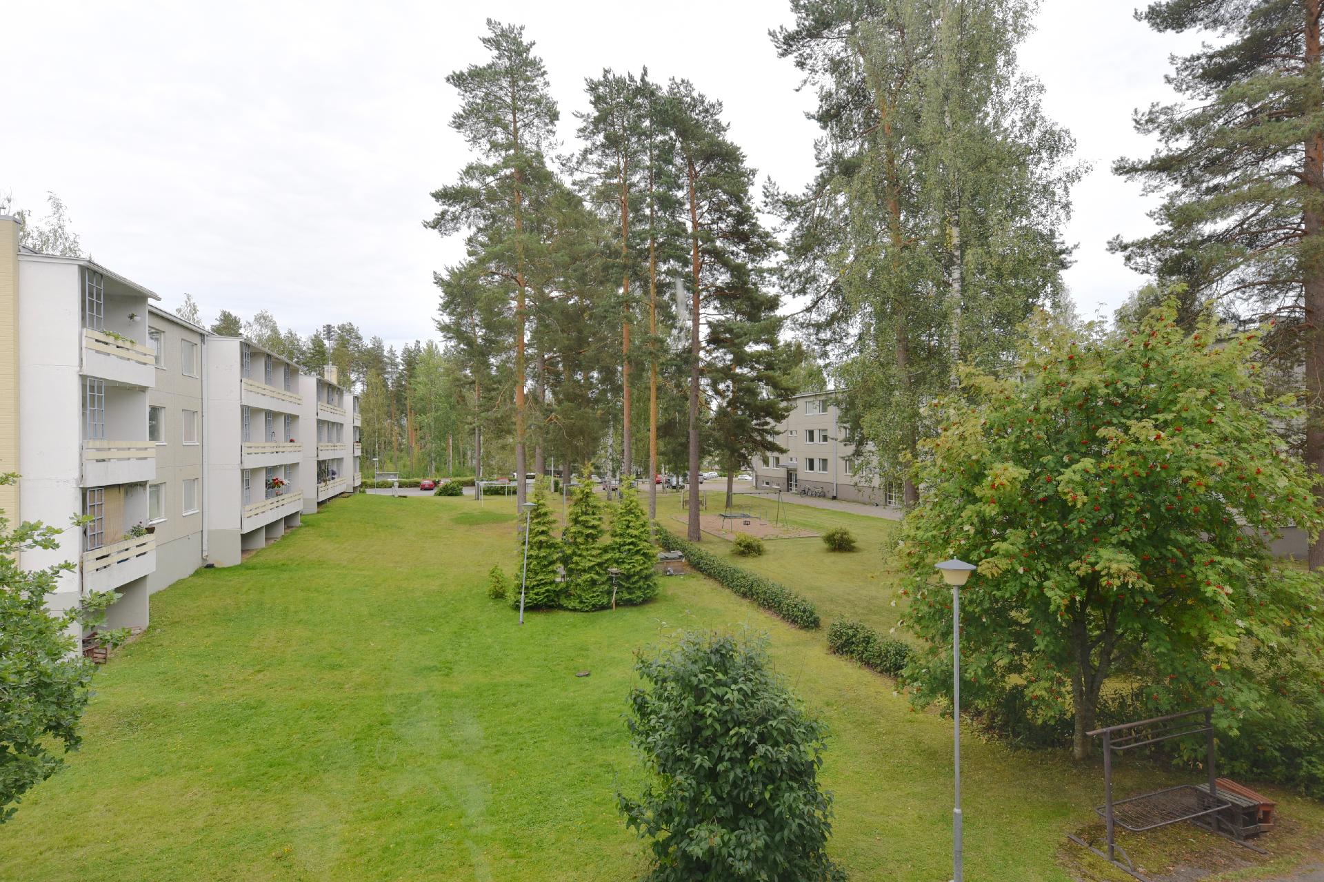 Näkymä ikkunasta pihaan