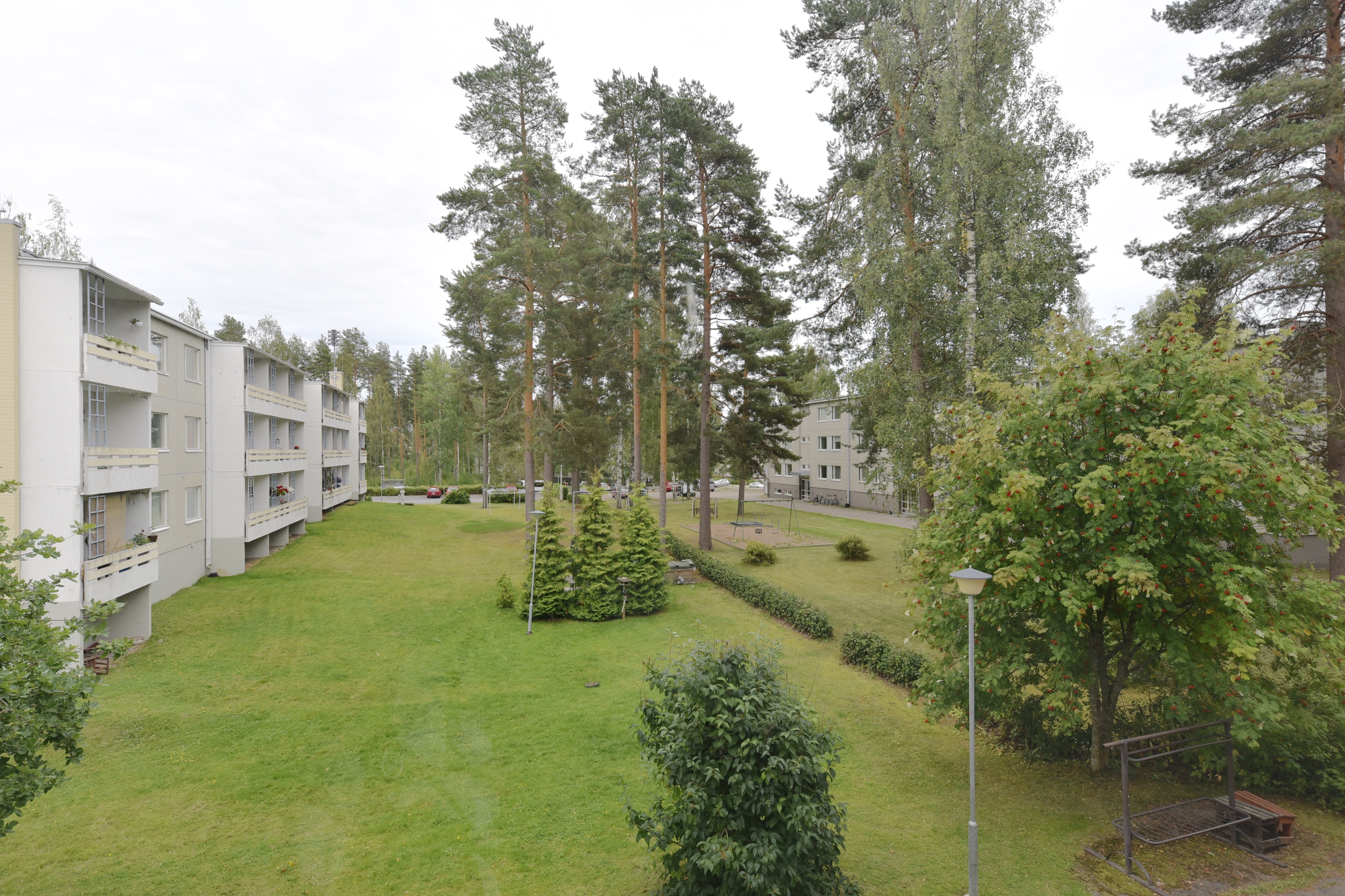 Näkymä ikkunasta pihaan