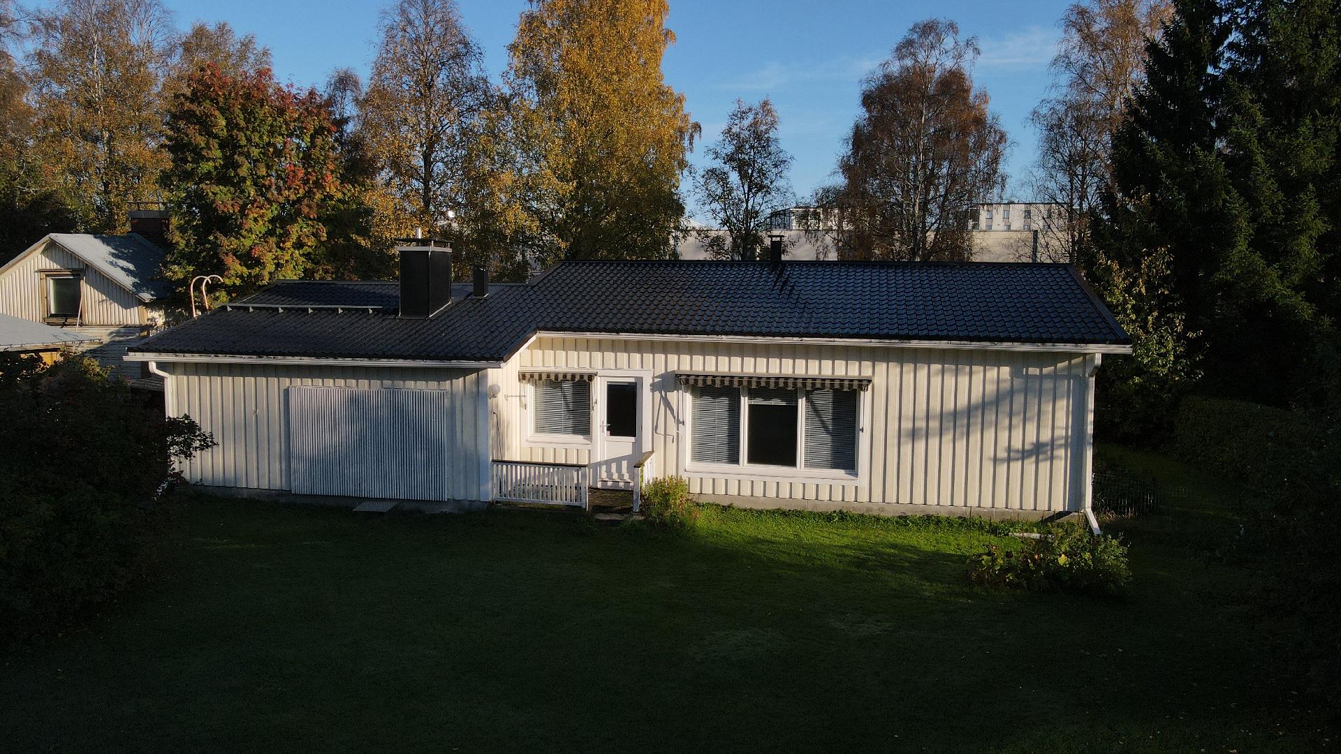 Takapiha kesällä