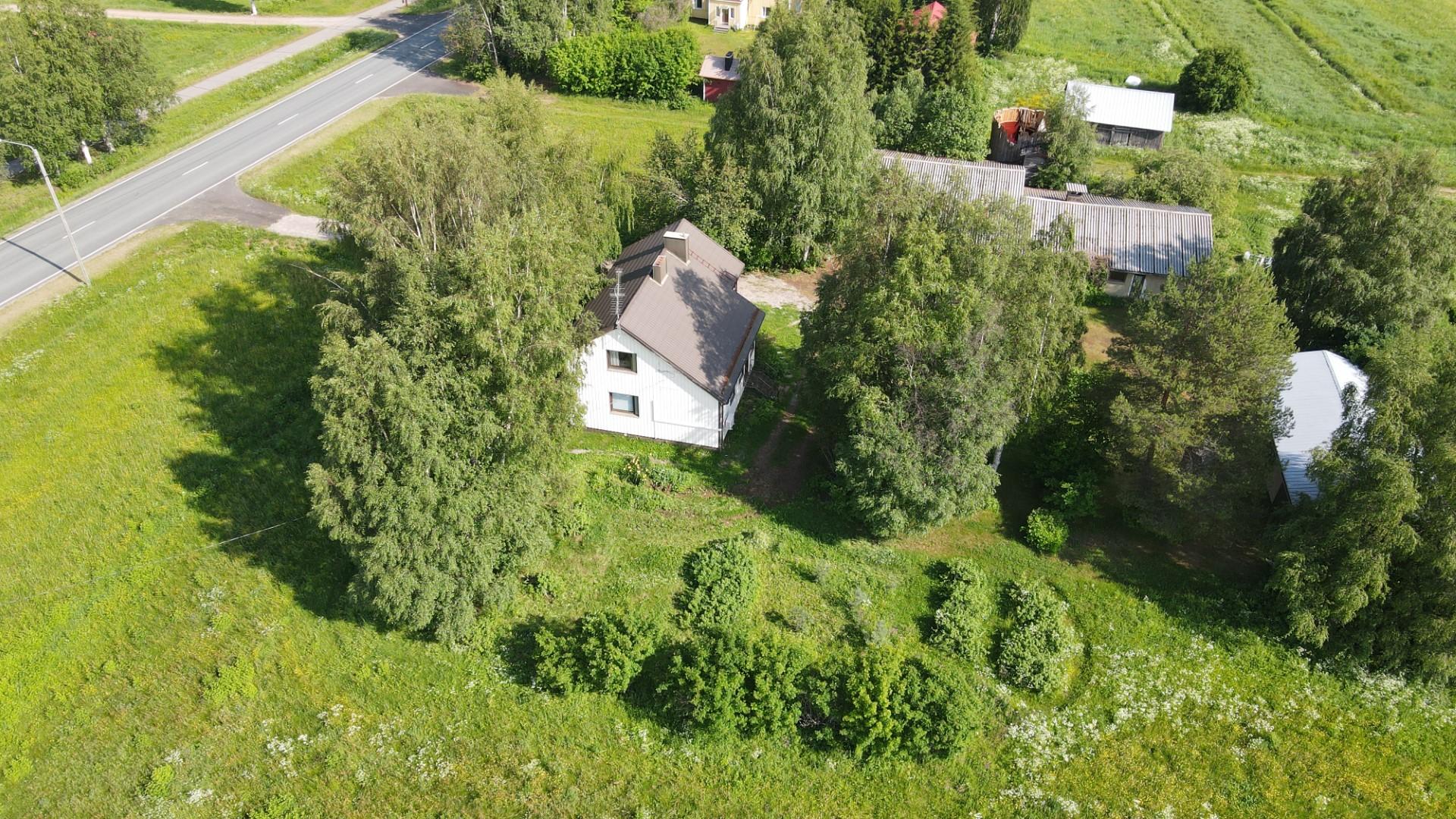Ilmakuva kesällä