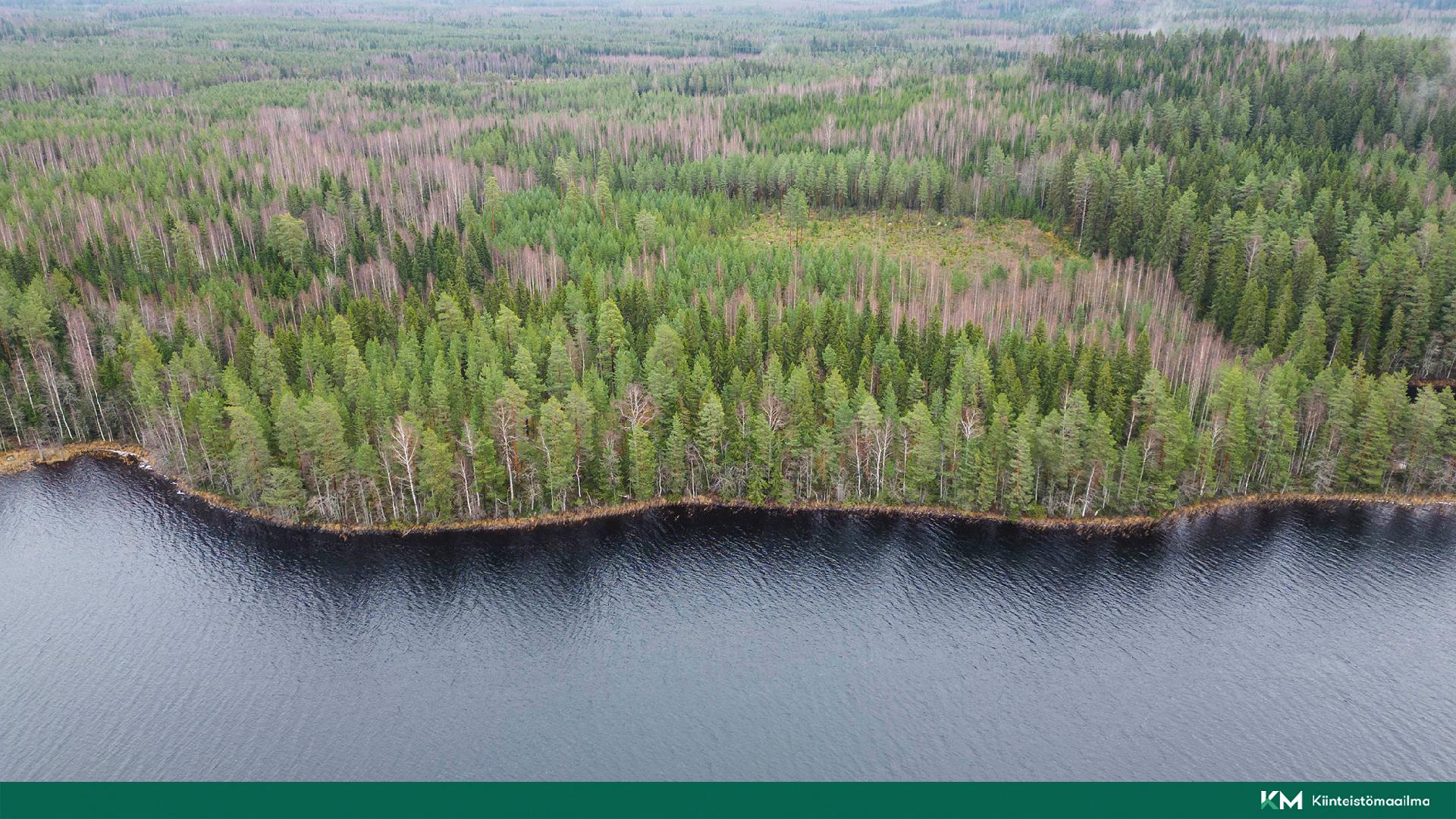 Martinmäentie 521, Kangasniemi