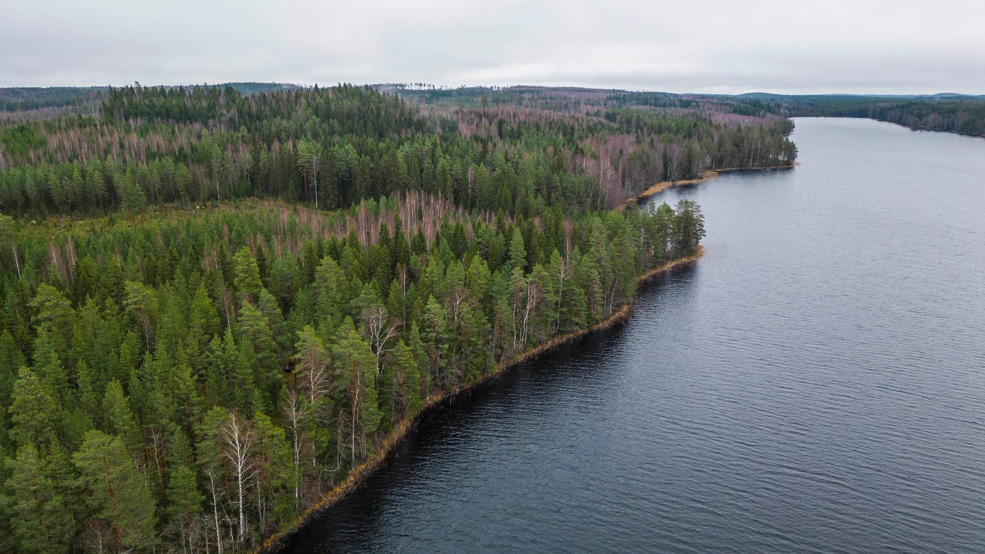 Martinmäentie 521, Kangasniemi