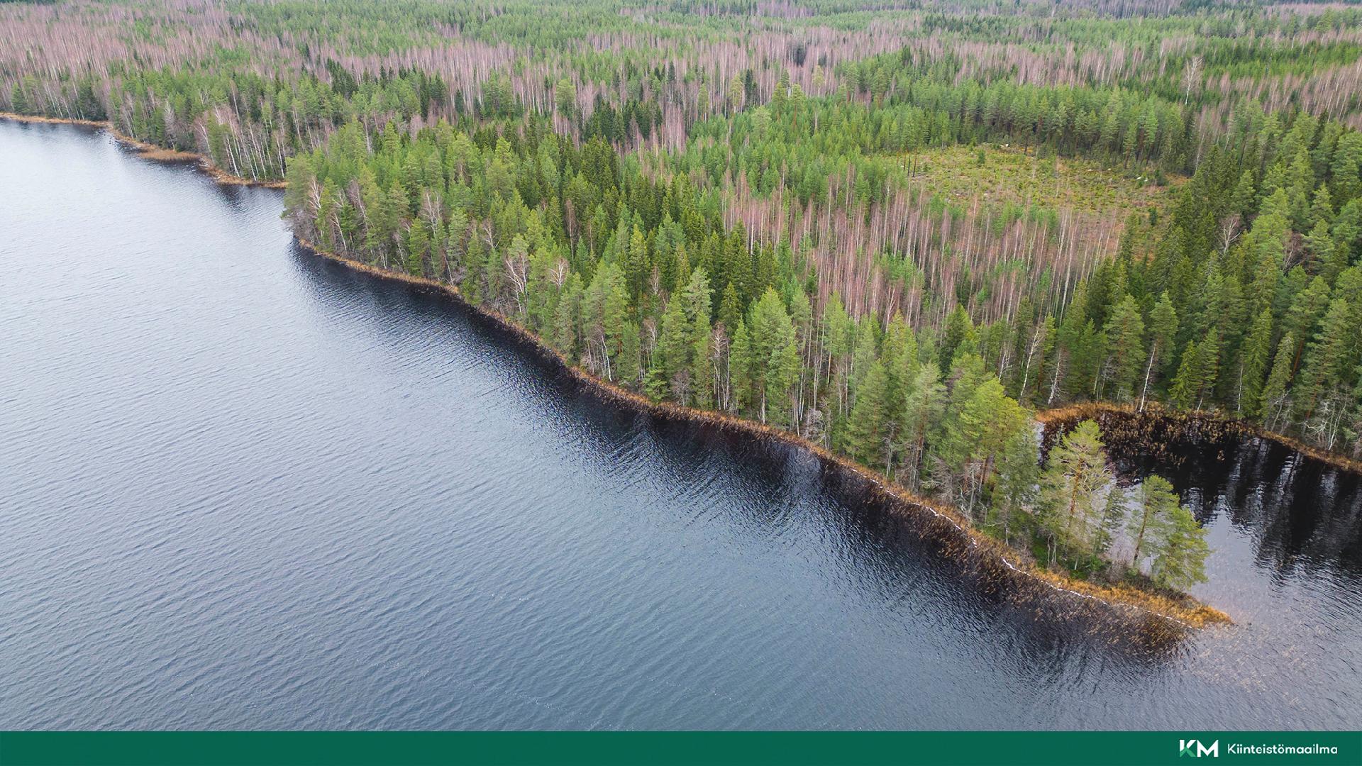 Martinmäentie 521, Kangasniemi