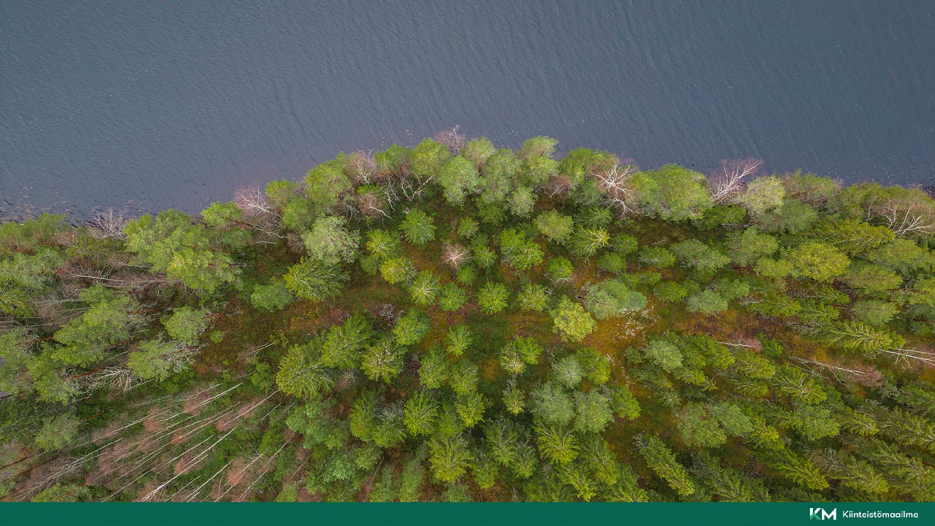 Martinmäentie 521, Kangasniemi