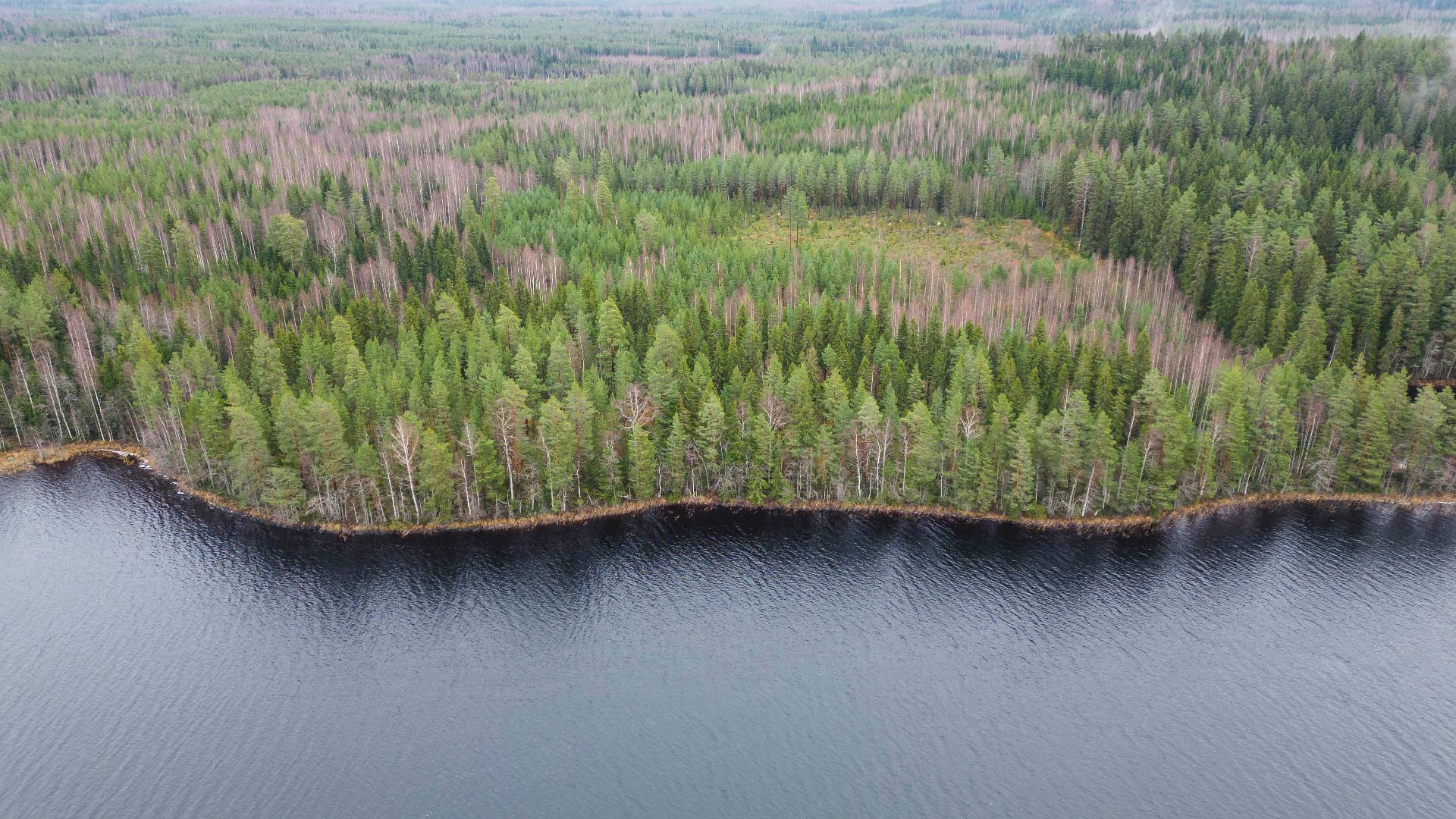 Martinmäentie 521, Kangasniemi