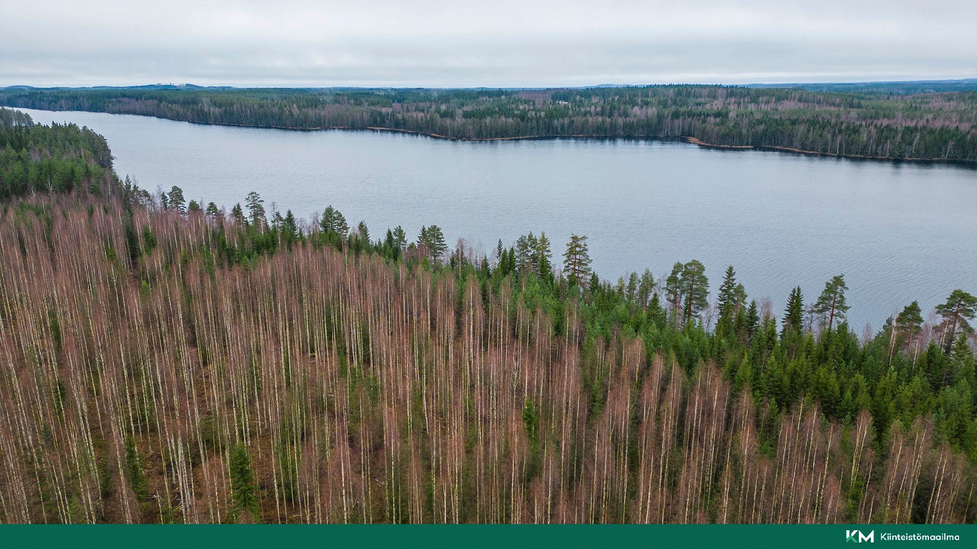 Martinmäentie 521, Kangasniemi