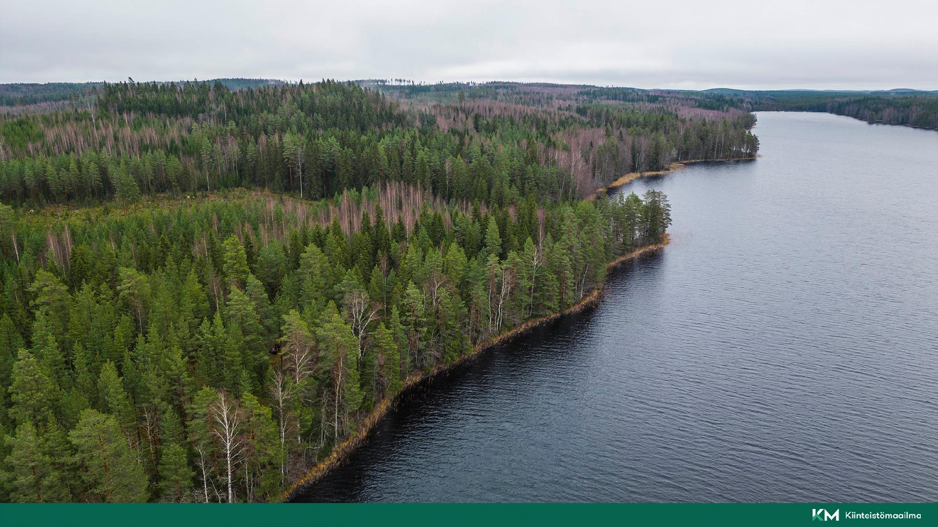 Martinmäentie 521, Kangasniemi