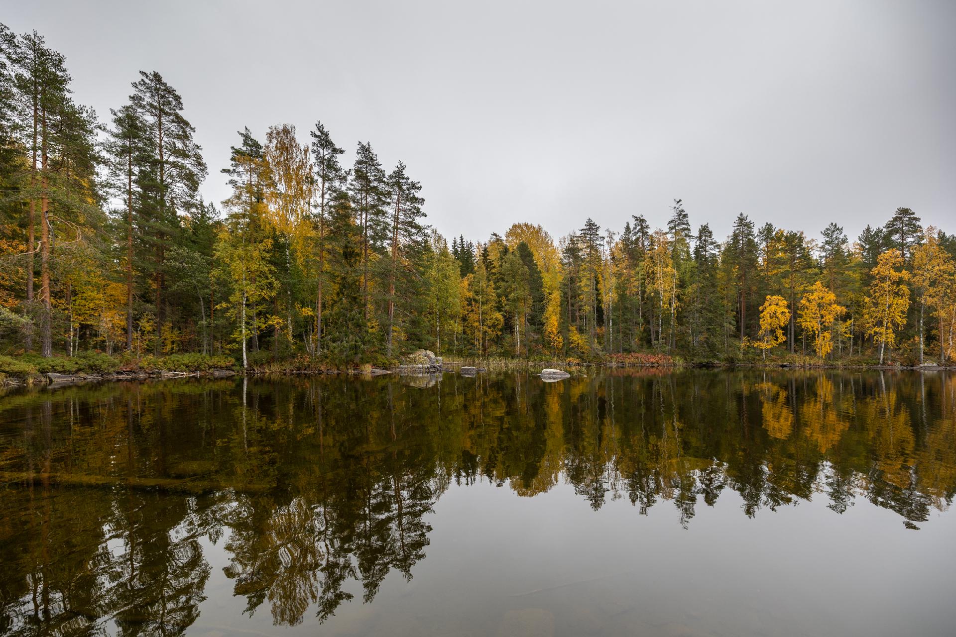 Lampilantie 28 tontti nro 5, Rahula, Mikkeli