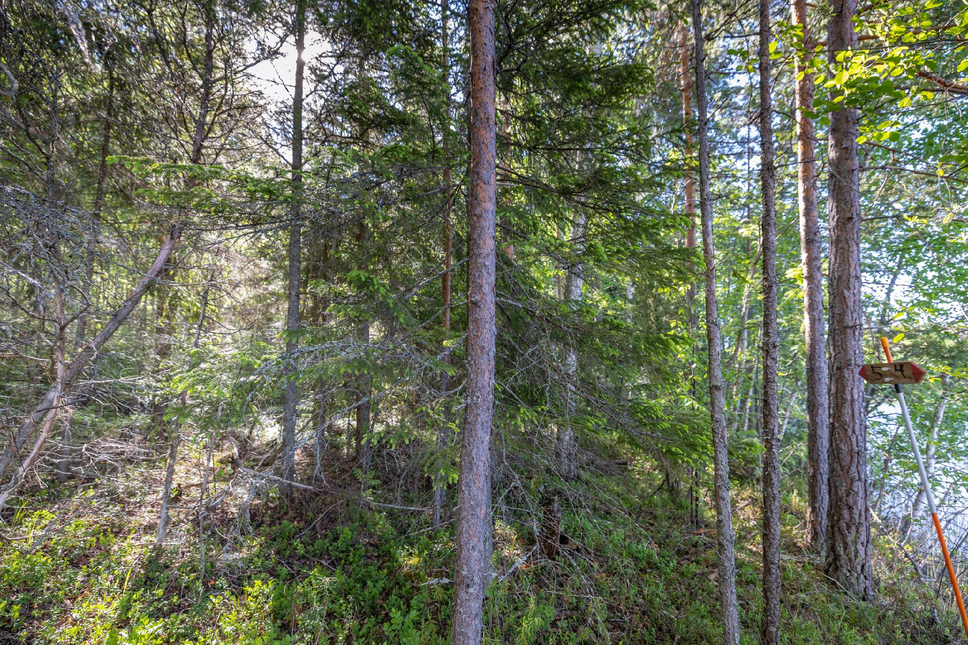 Lampilantie 28 tontti nro 5, Rahula, Mikkeli