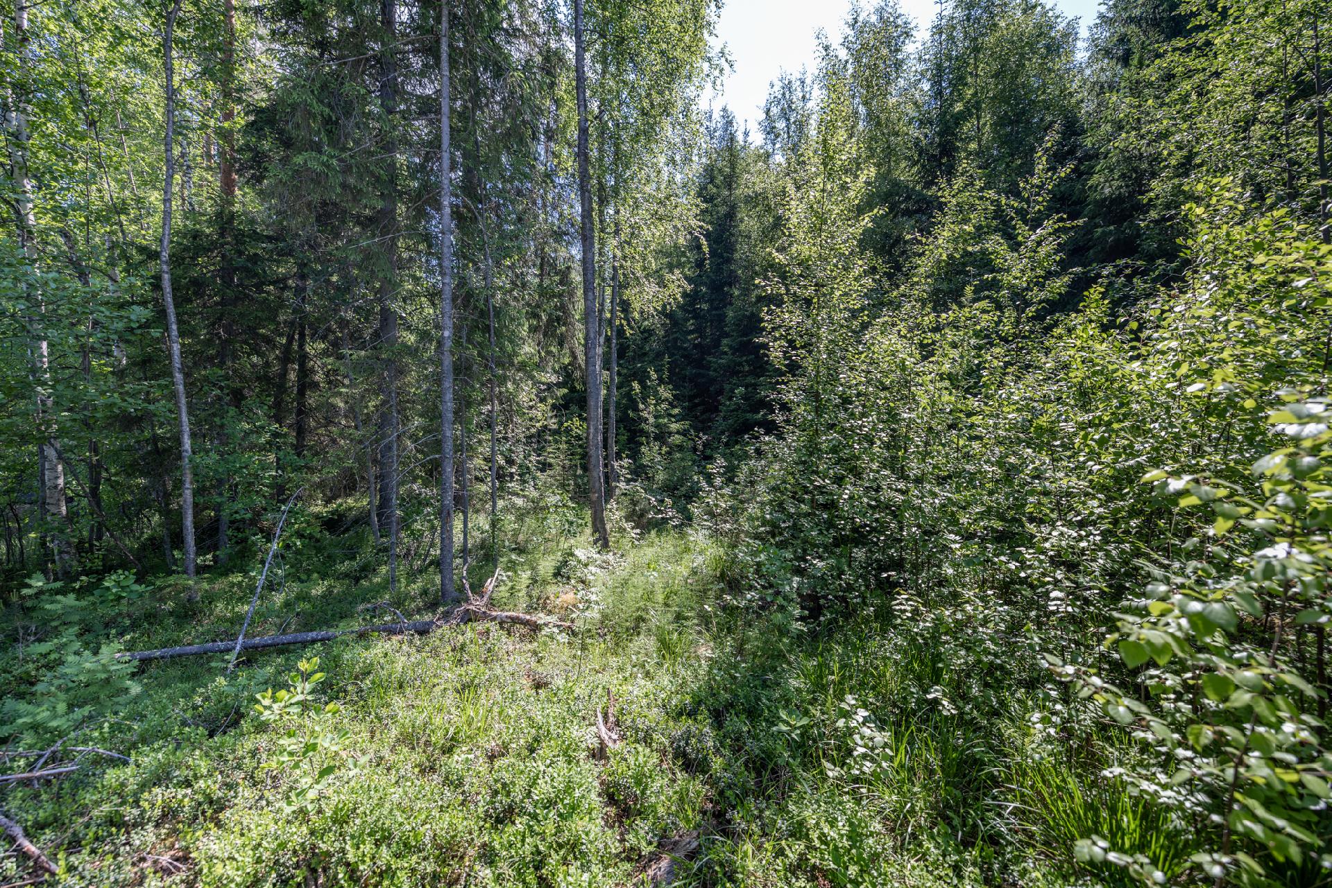 Riutanpolku 122, Rahula, Mikkeli