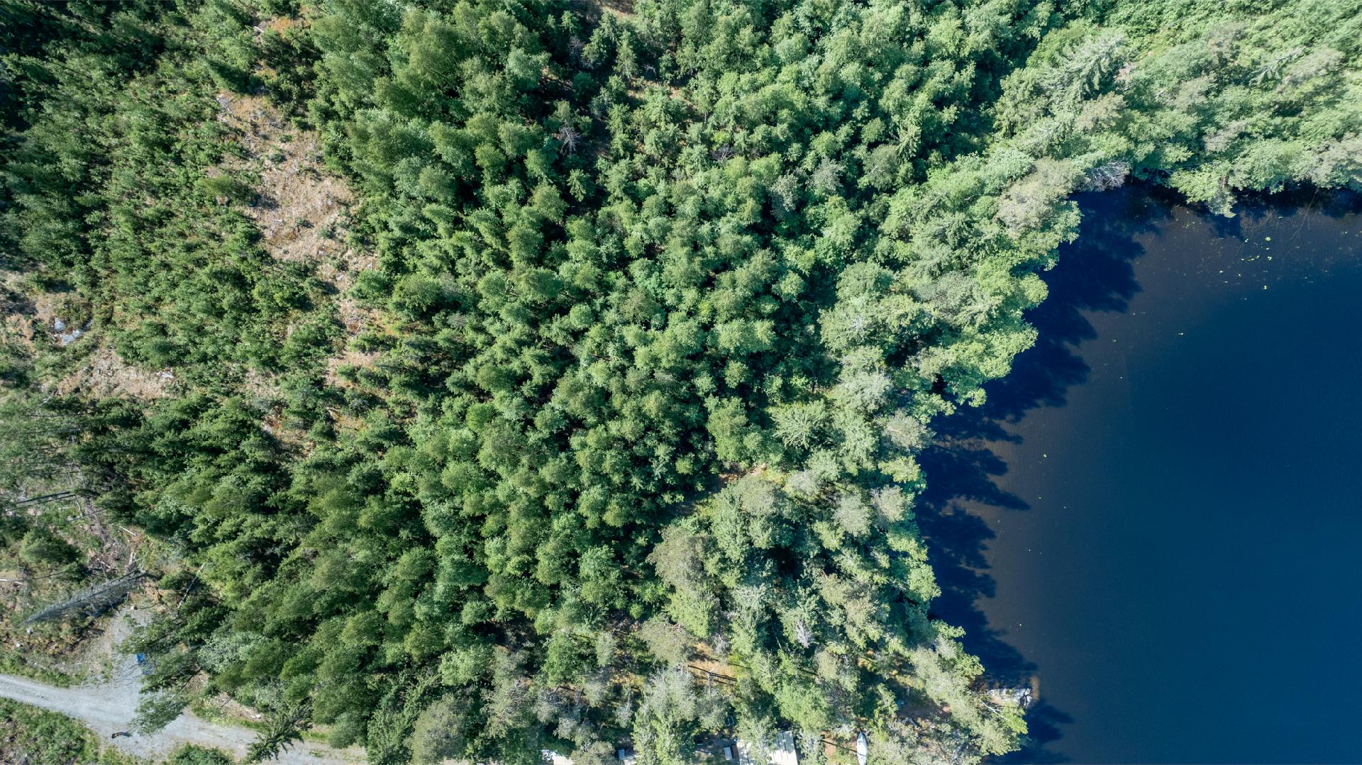 Riutanpolku 122, Rahula, Mikkeli