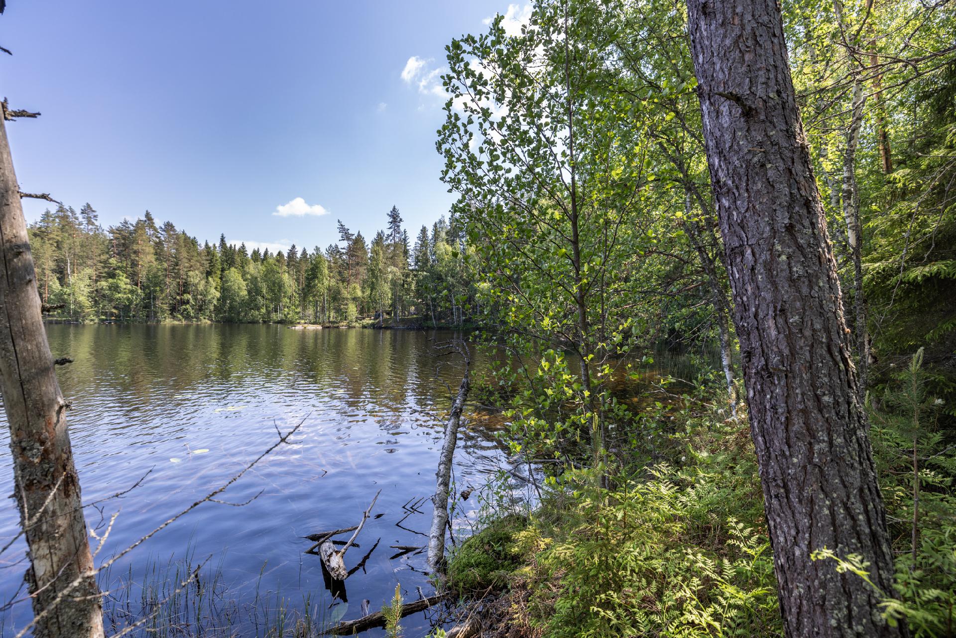 Riutanpolku 122, Rahula, Mikkeli