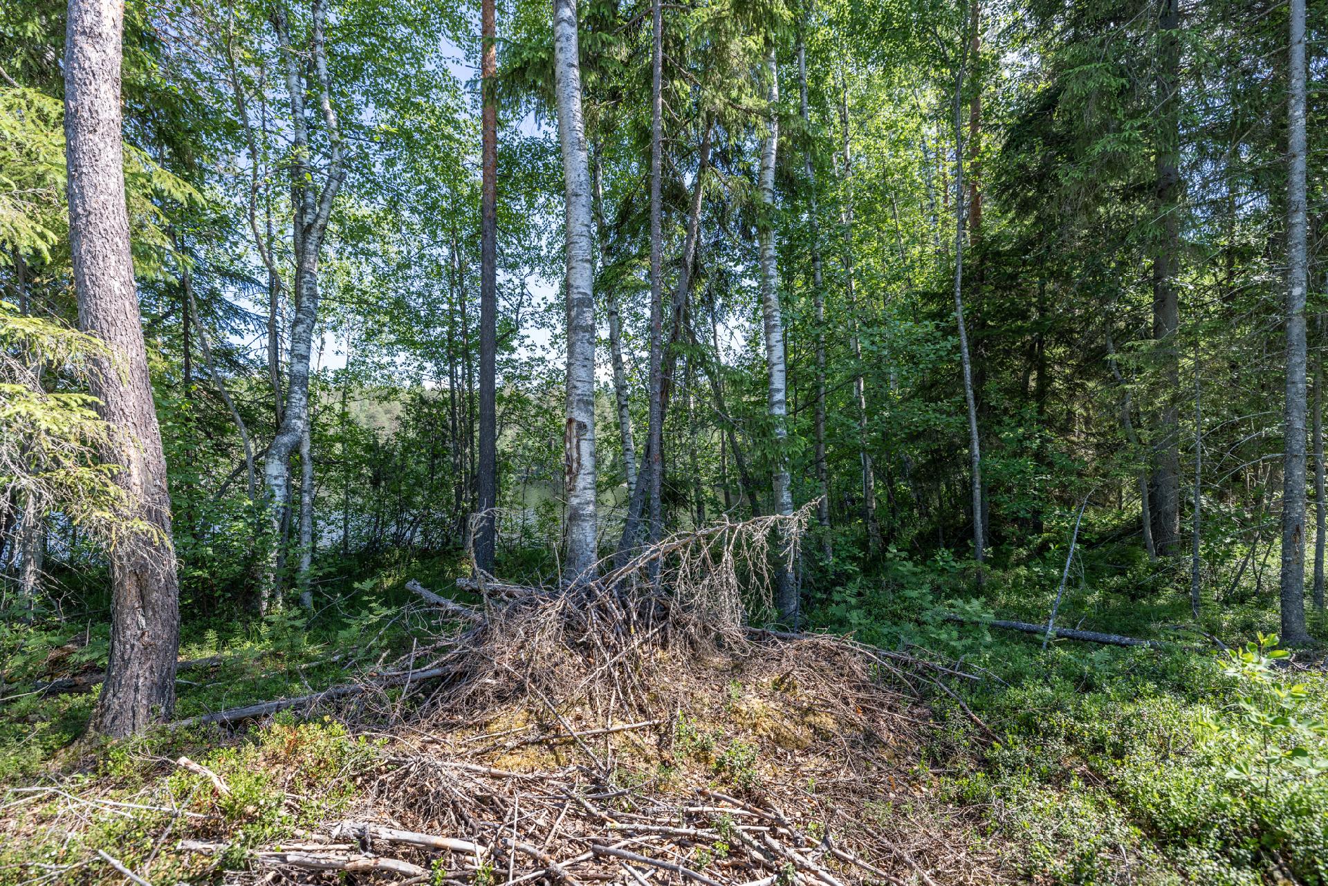 Riutanpolku 122, Rahula, Mikkeli