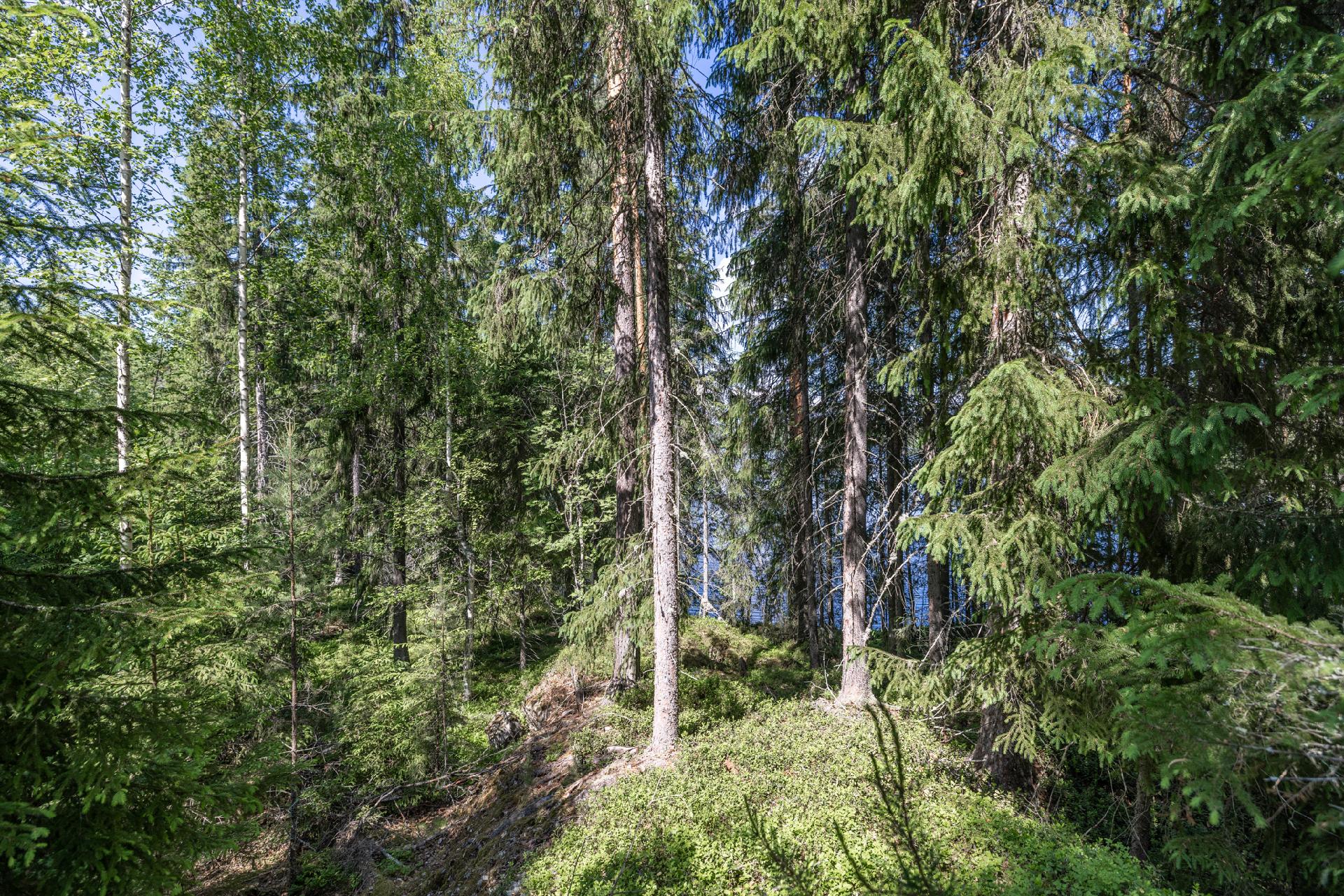 Riutanpolku 122, Rahula, Mikkeli