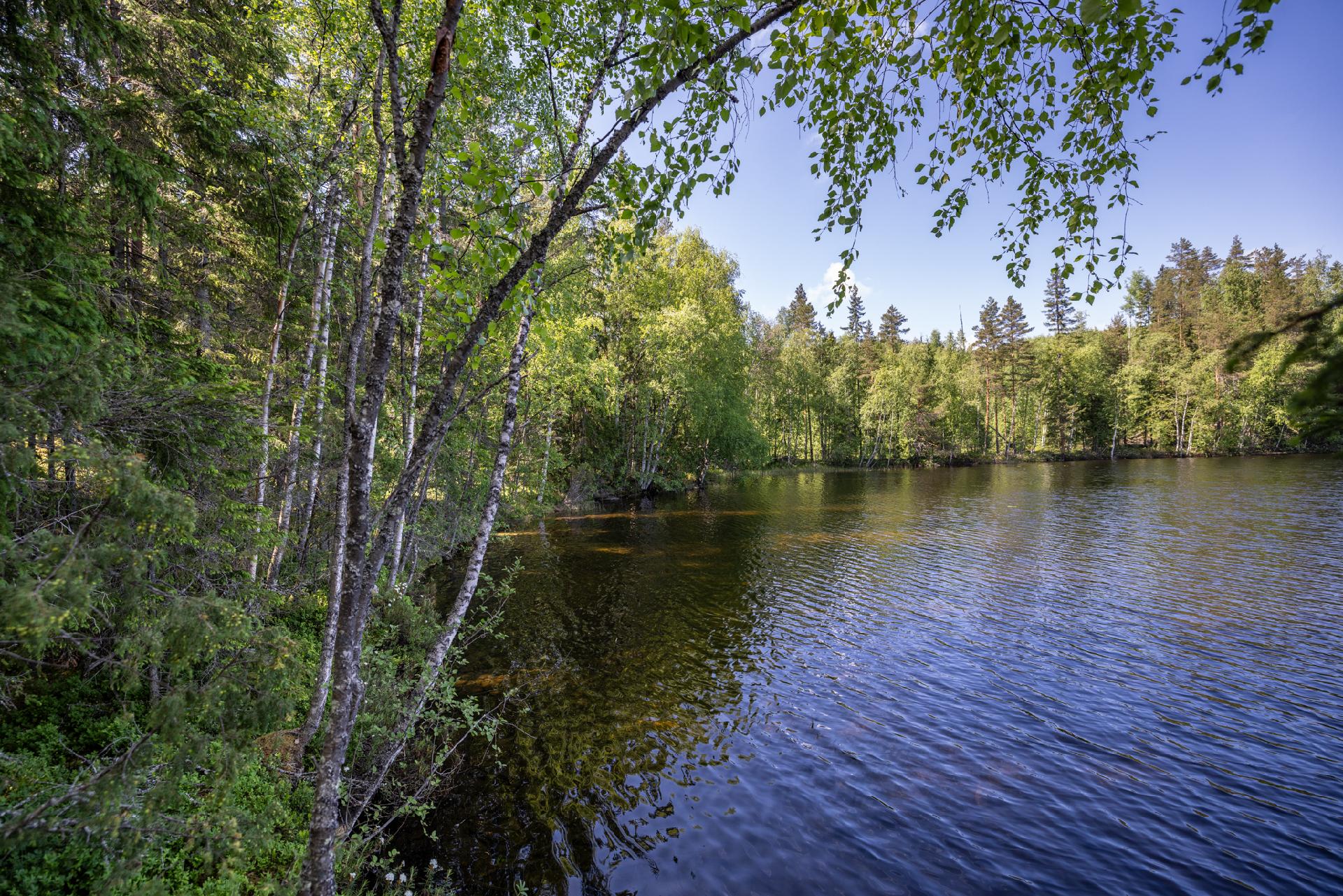 Riutanpolku 122, Rahula, Mikkeli