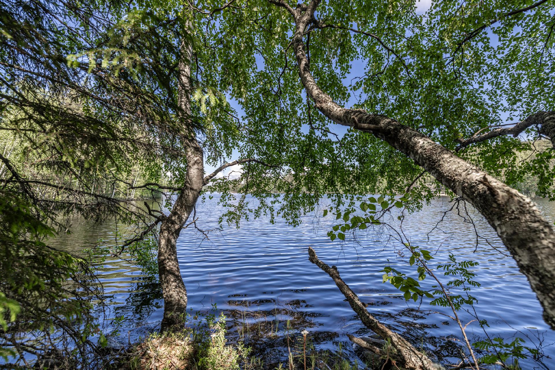 Riutanpolku 122, Rahula, Mikkeli