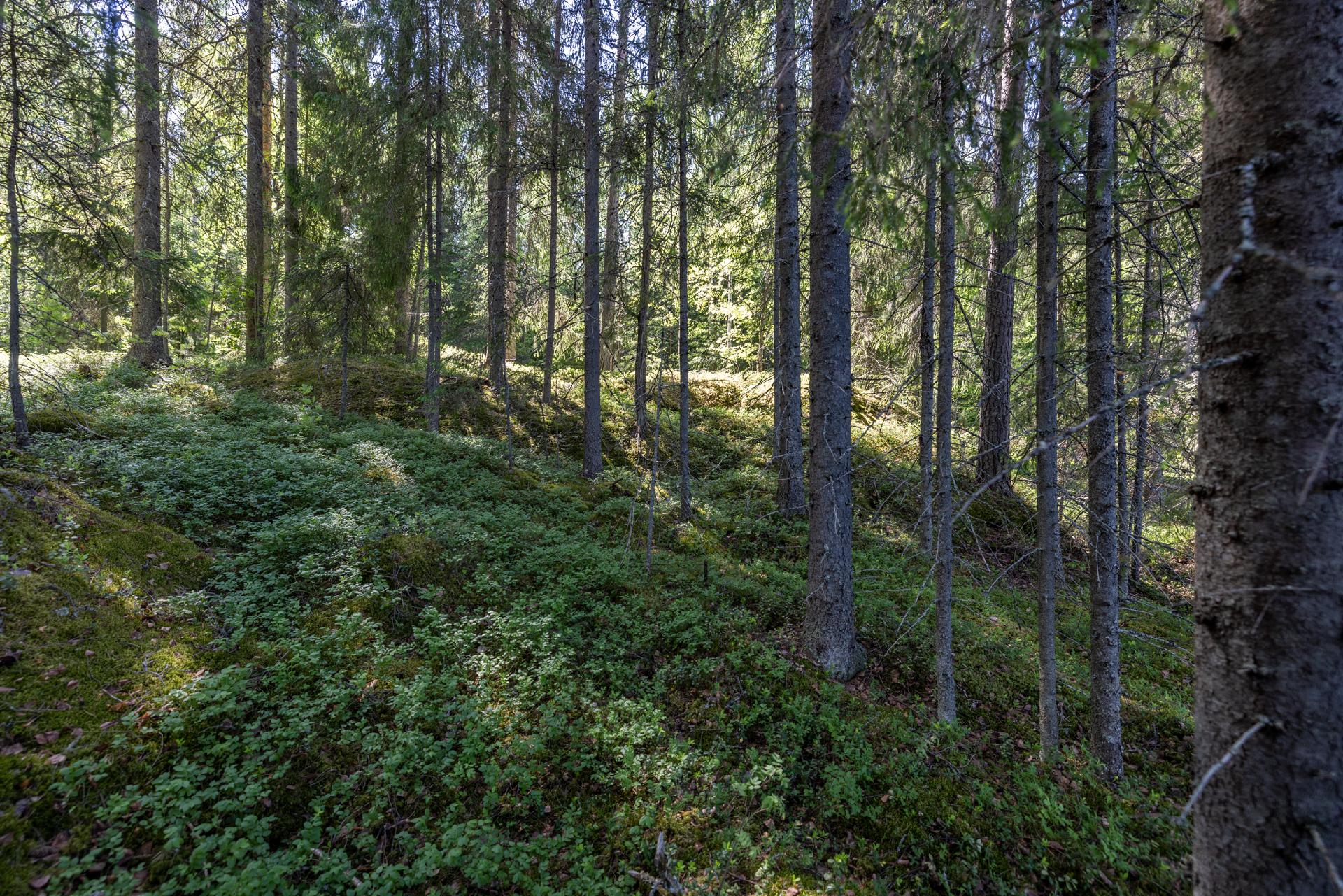 Riutanpolku 122, Rahula, Mikkeli